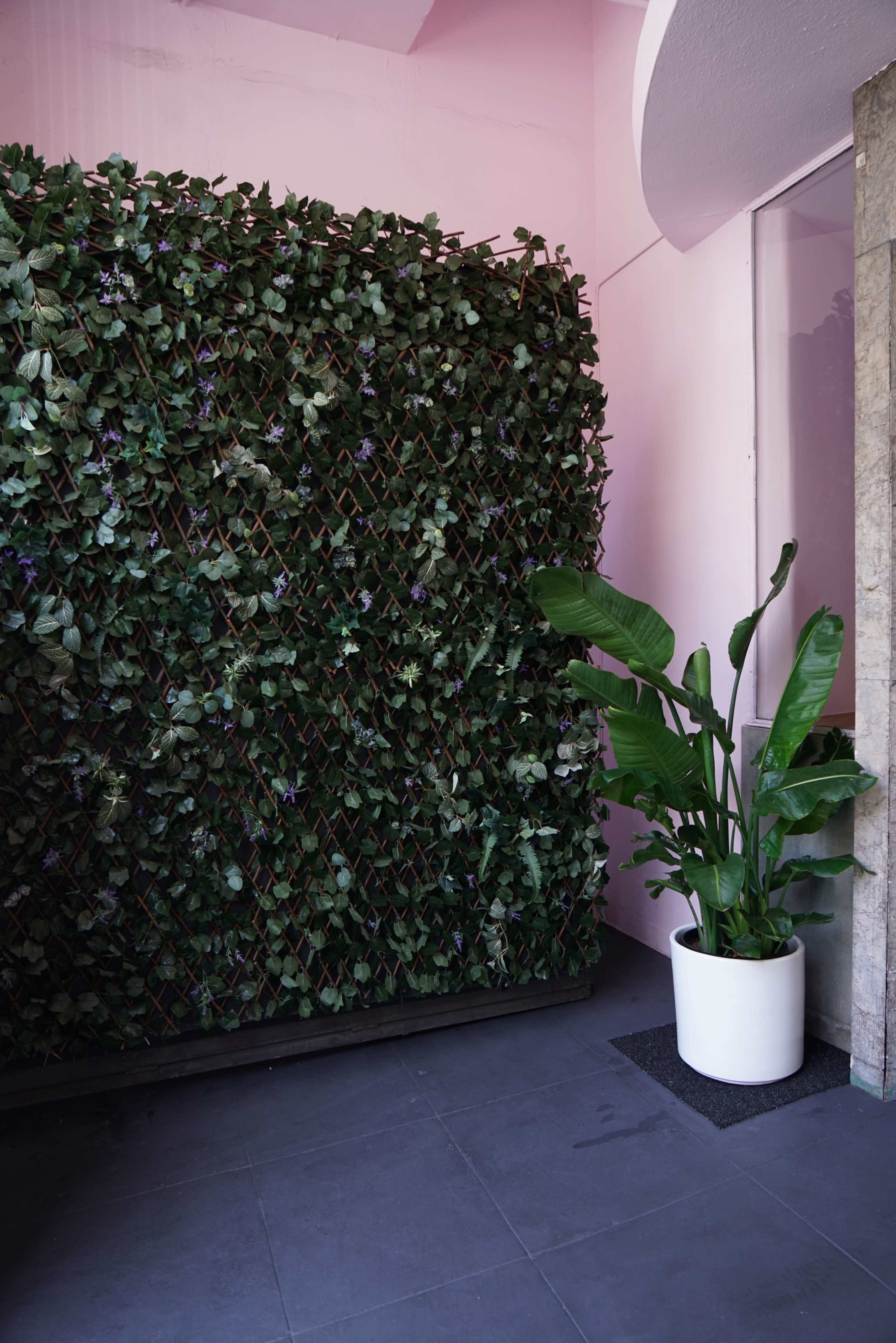 A vertical garden of artificial greenery is positioned against a pink wall, alongside a large potted plant in a white planter.
