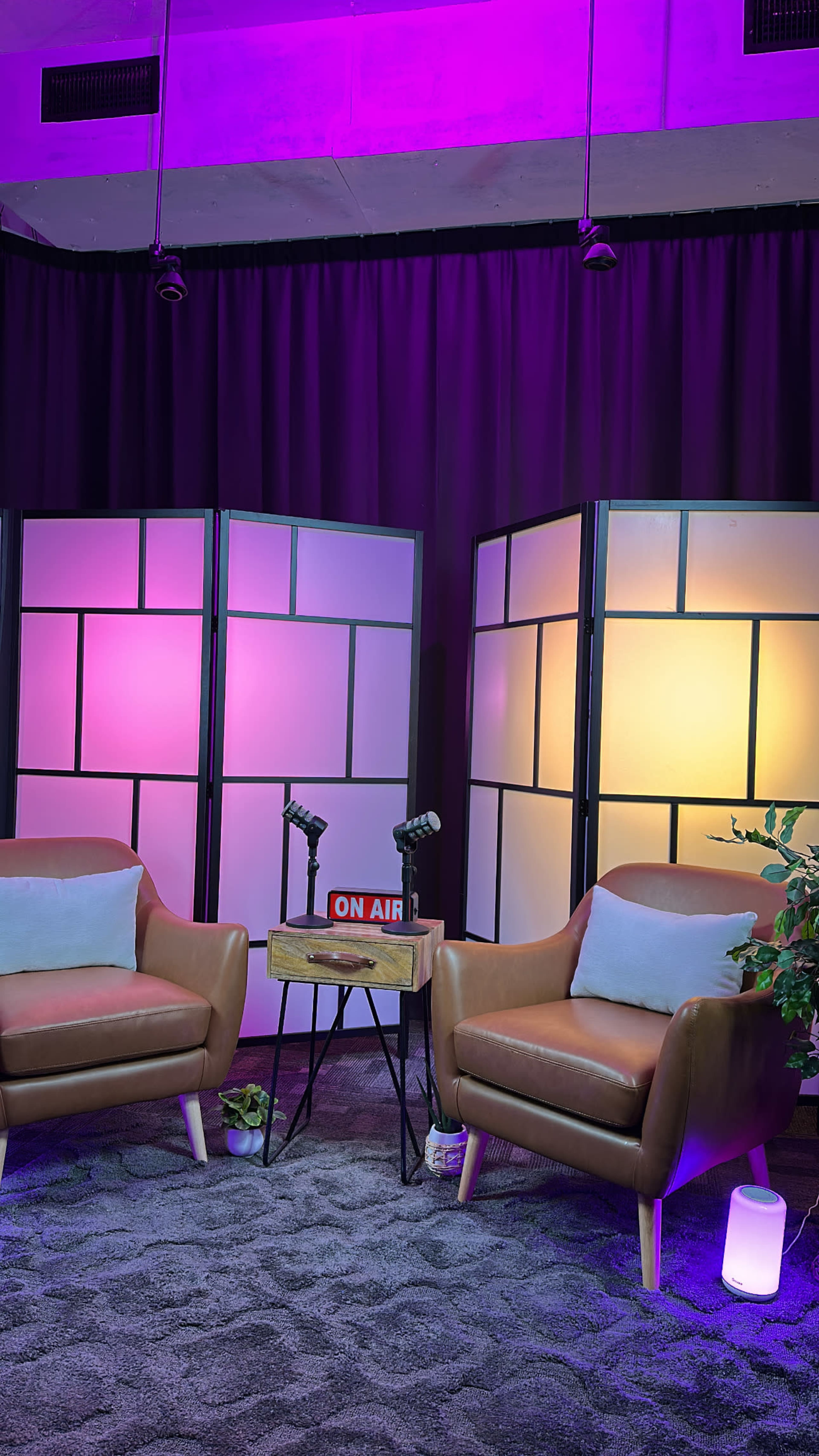 The image shows a modern studio setup with two brown armchairs, a small table holding microphones, and decorative plants, all set against a backdrop of colorful lighting and partition screens.