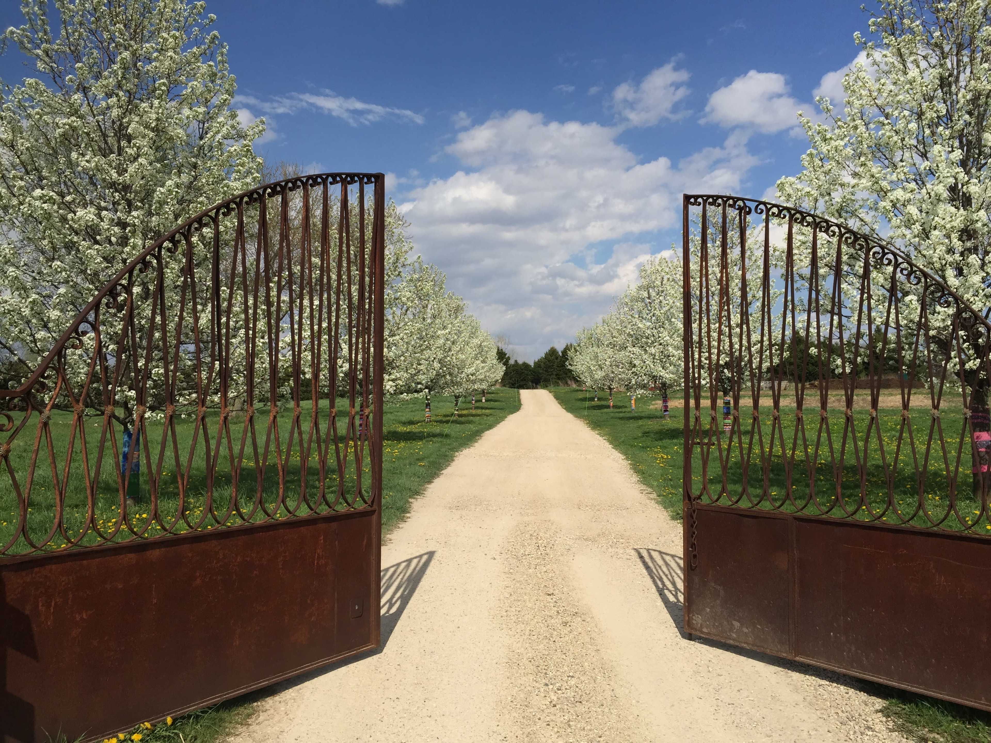 A gravel path leads through open wrought iron gates lined by flowering trees under a blue sky.
