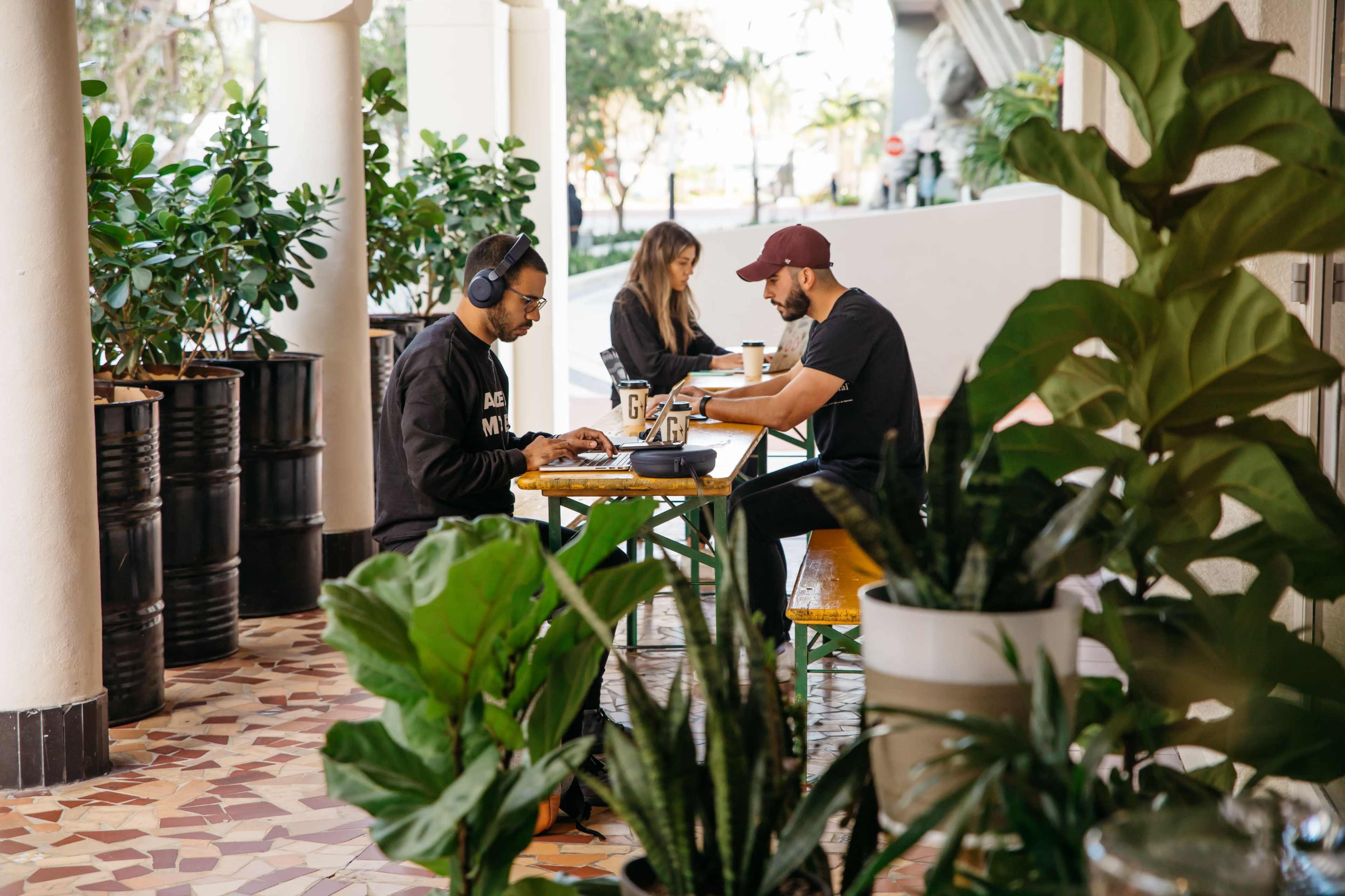 Three individuals are working on laptops at a café table surrounded by large potted plants.