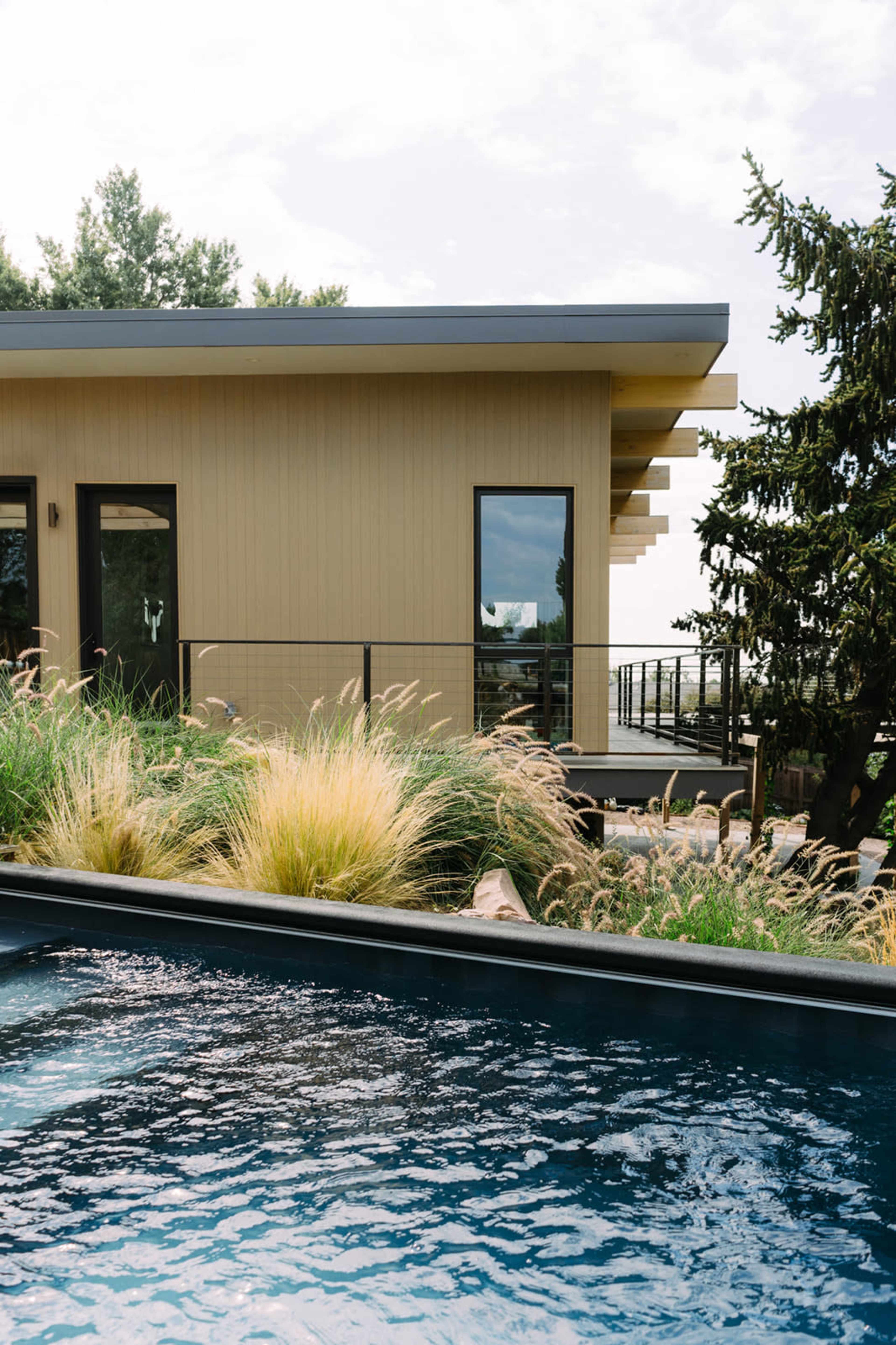 A modern house with large windows is situated near a dark swimming pool surrounded by tall grass and greenery.