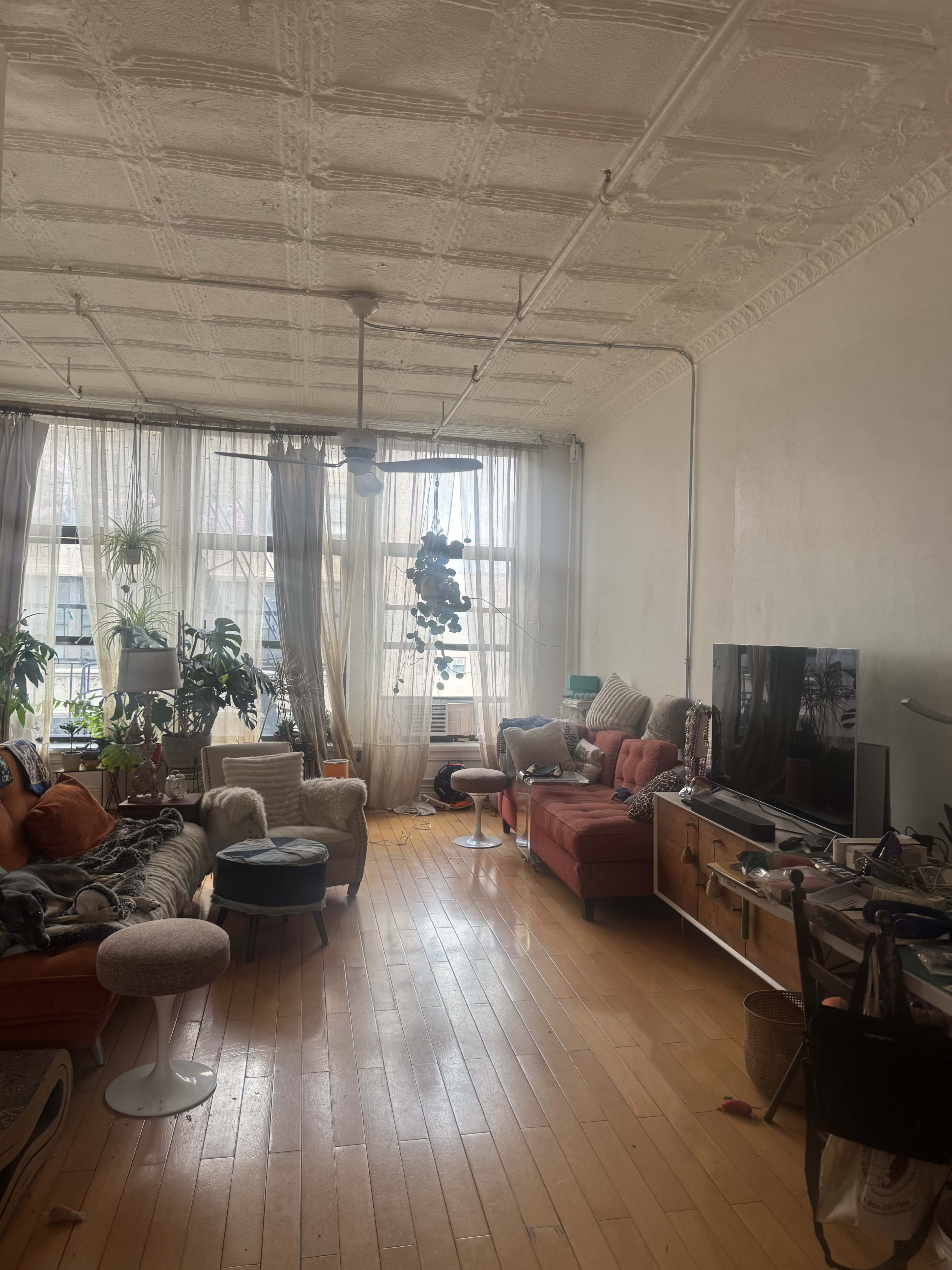 The image shows a bright living room with large windows, wooden flooring, a red couch, a television, and various houseplants arranged throughout the space.