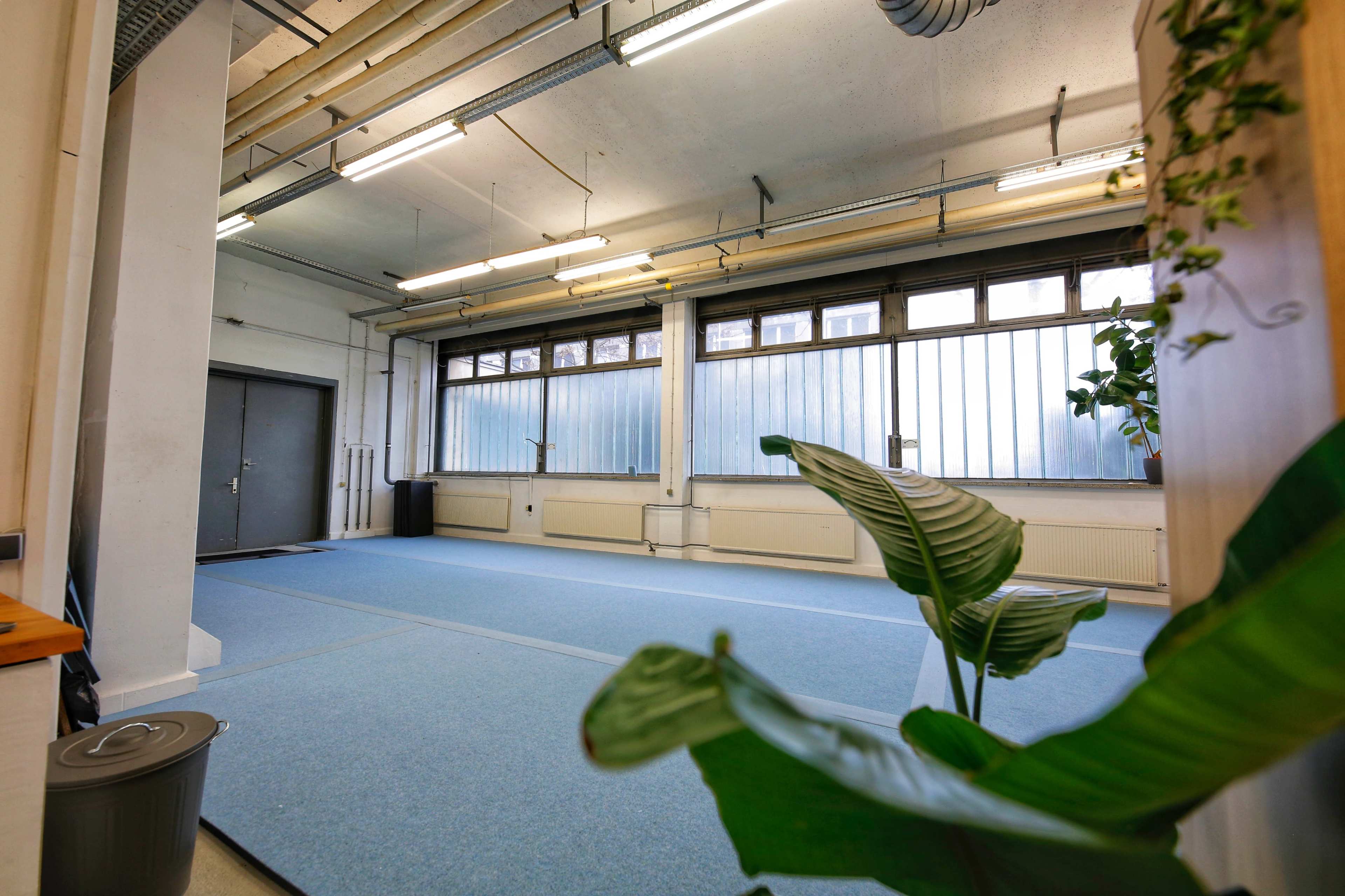 The image shows a spacious, empty room with blue carpet, large windows allowing light in, and a potted plant in the foreground.