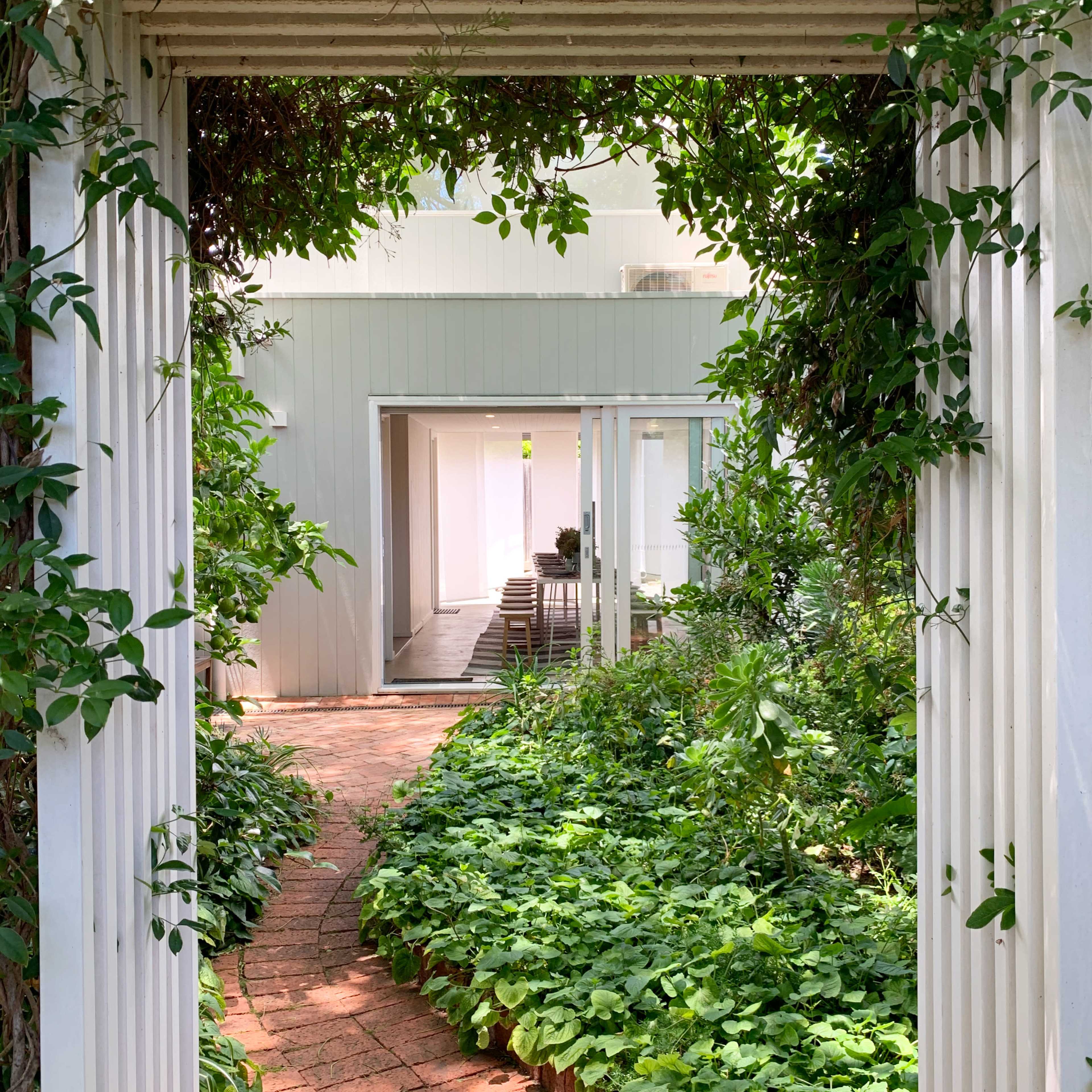 A pathway framed by white columns leads to a modern interior space surrounded by lush greenery and brick flooring.