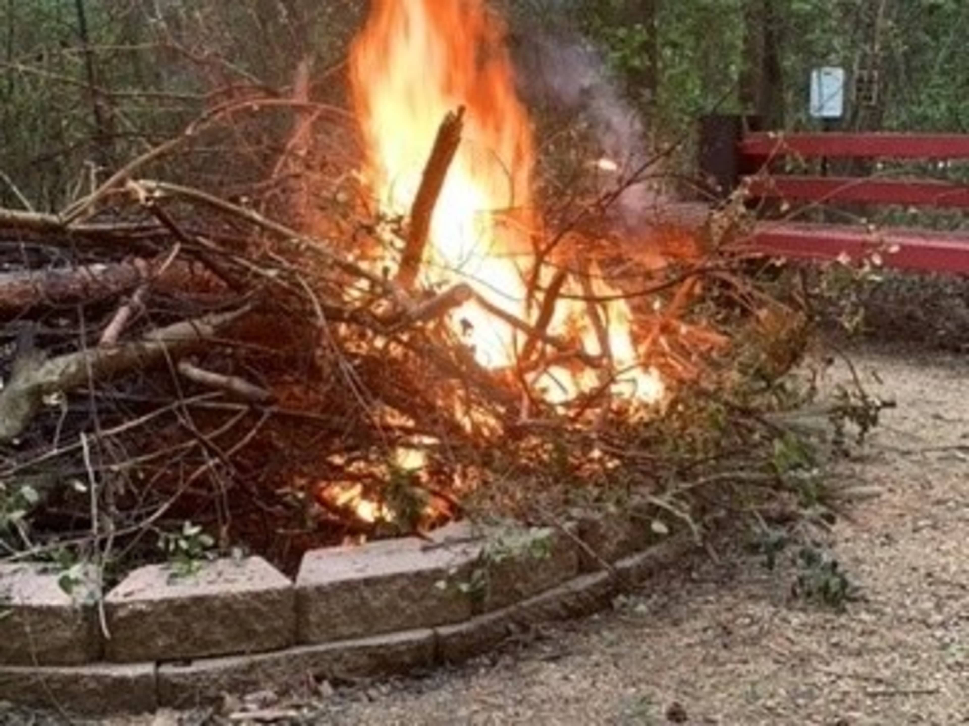 Bonfire