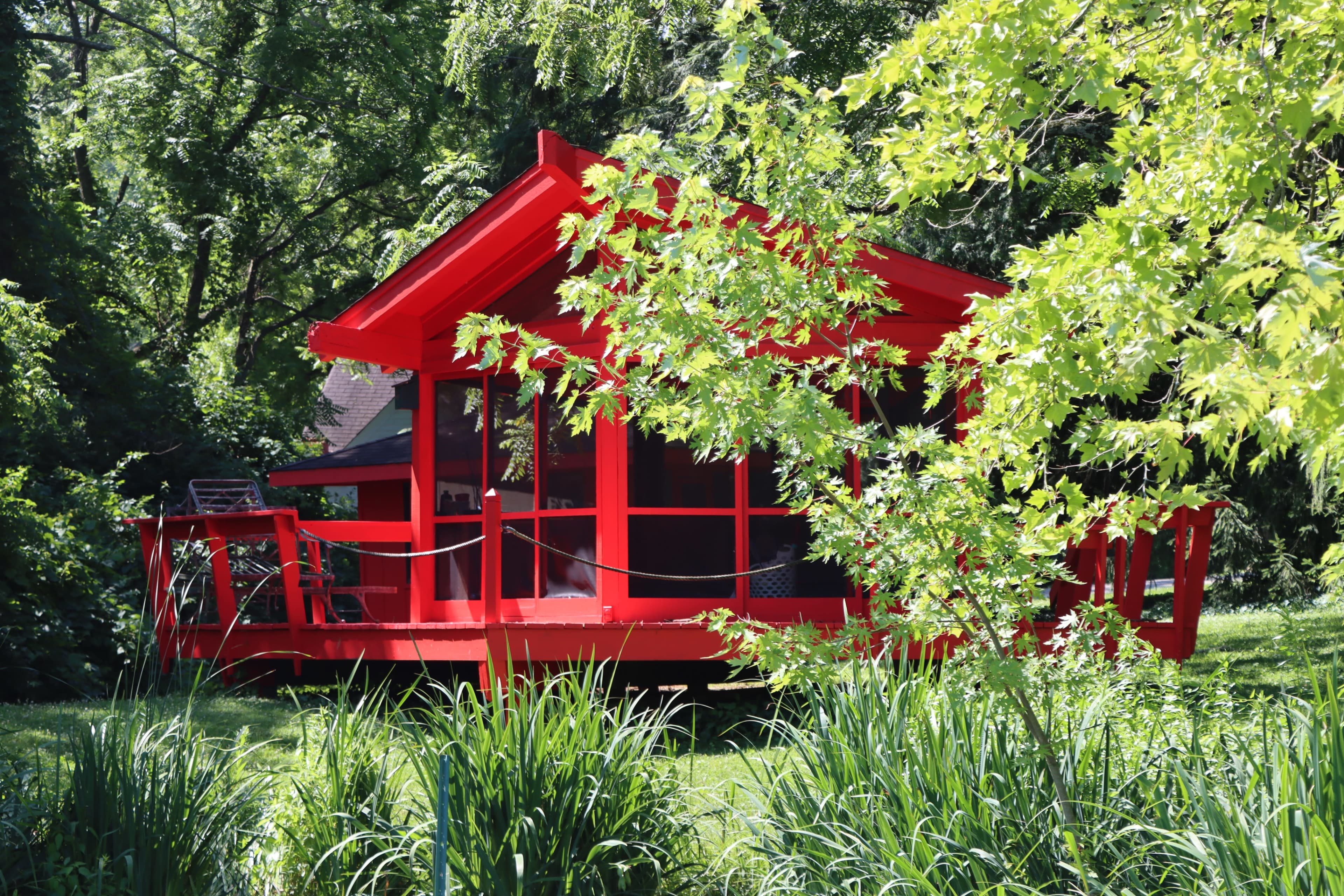 A bright red cabin with large windows is surrounded by greenery in a wooded area.
