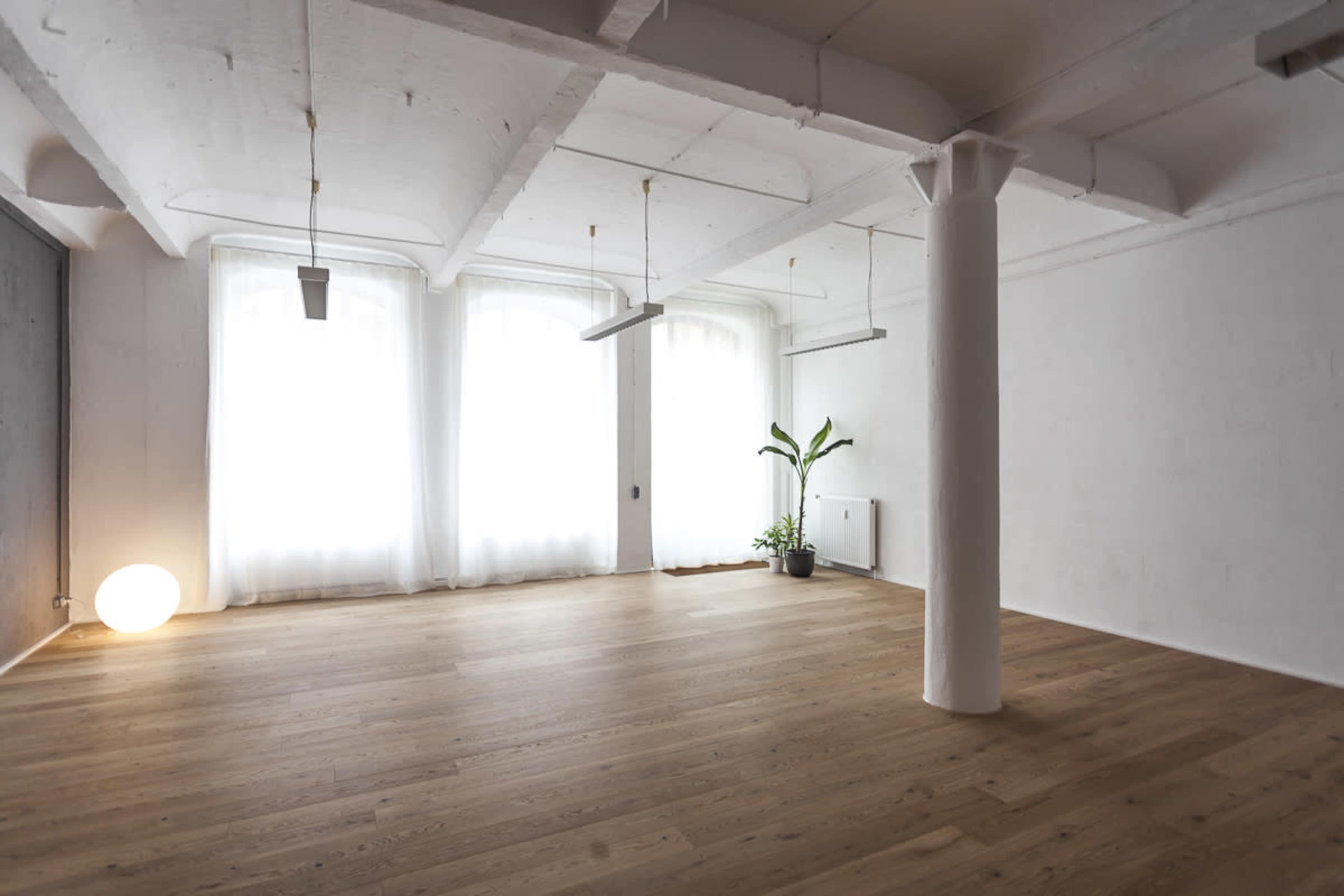 The image shows a spacious, minimalist room with wooden flooring, large windows covered by sheer curtains, and a potted plant in the corner.