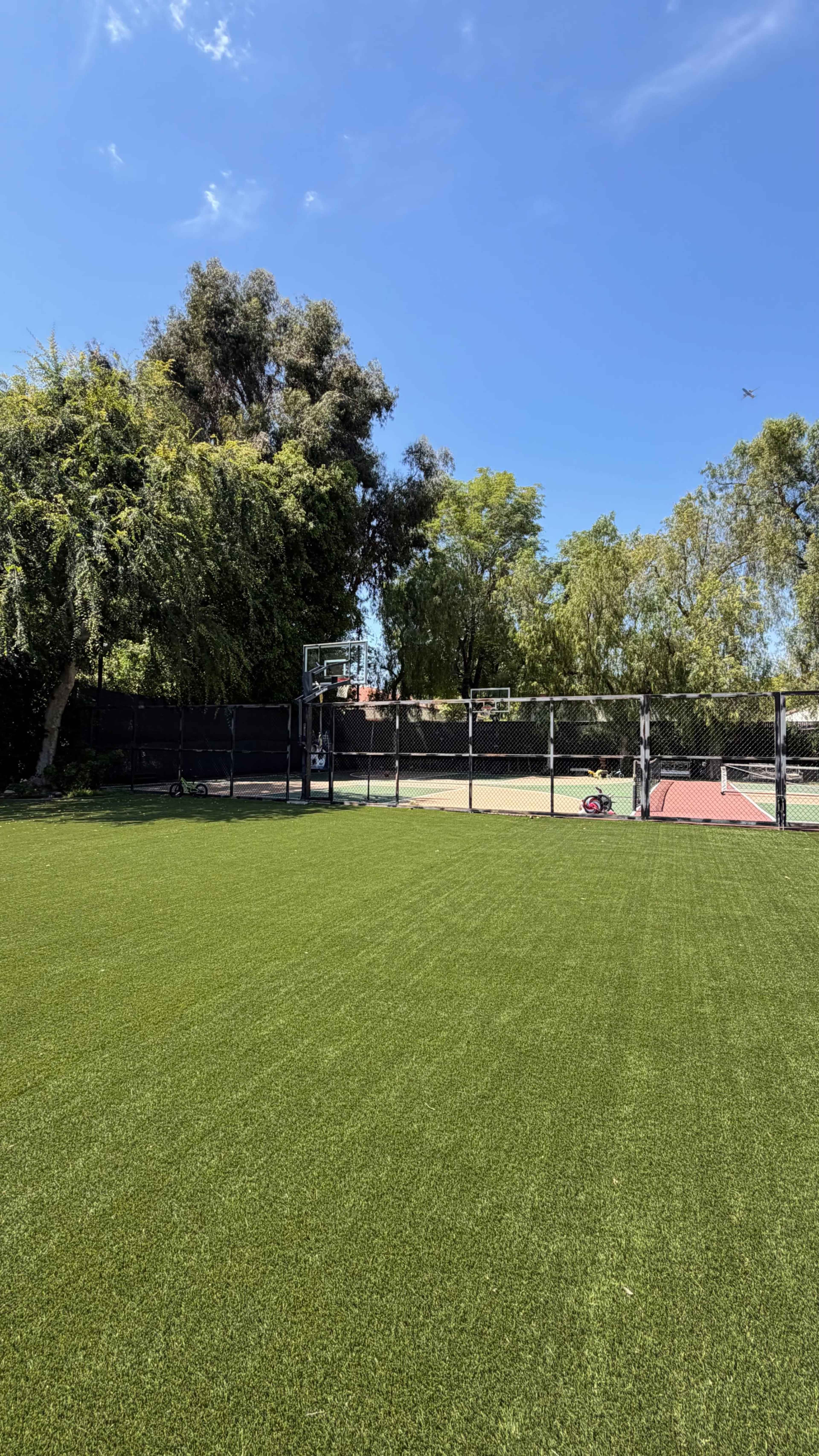 The image shows a well-maintained grassy area with a basketball hoop in the background and trees lining the perimeter.
