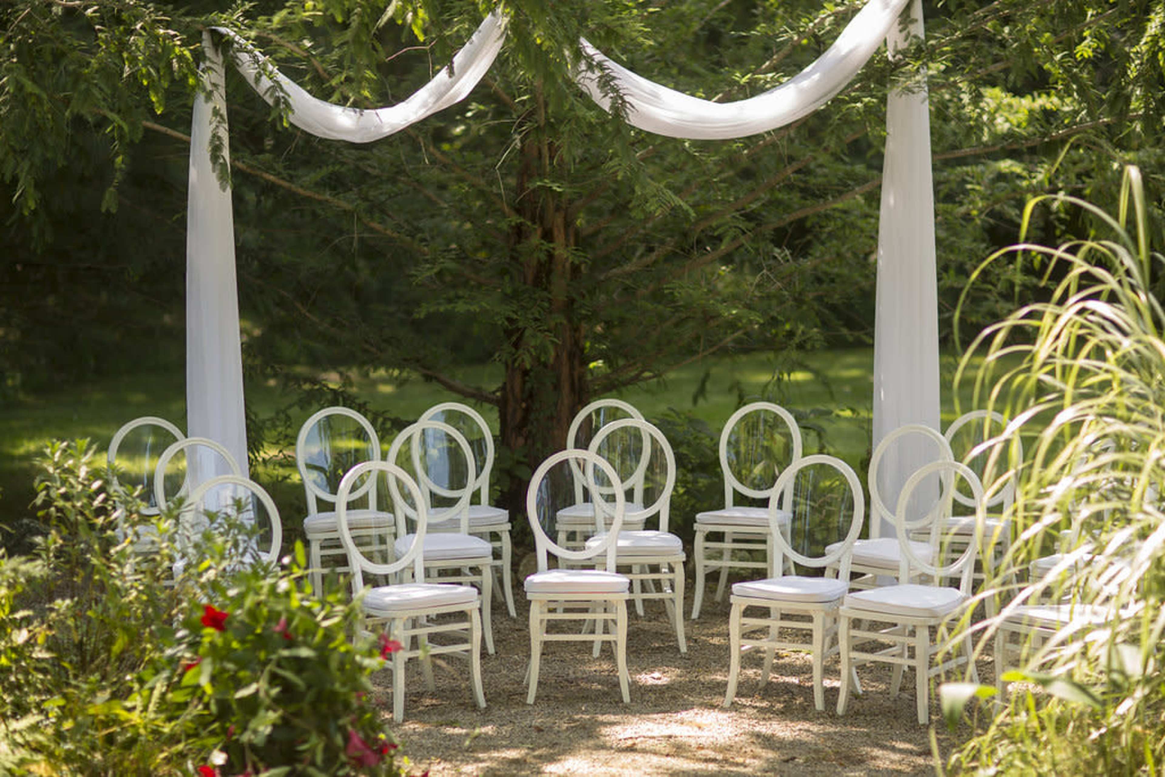 A cluster of white chairs is arranged beneath draped fabric and trees in a garden setting.