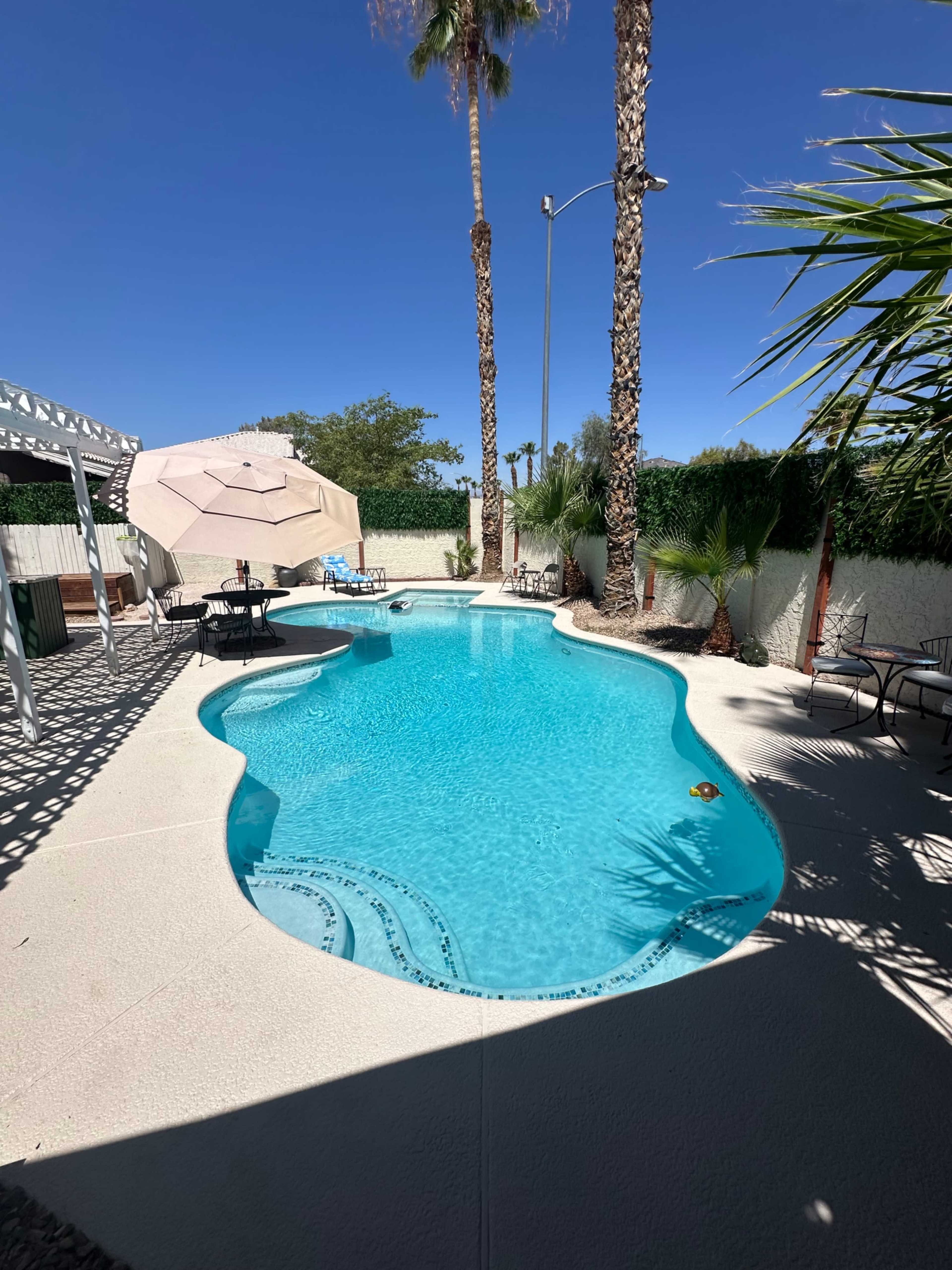 The image shows a swimming pool surrounded by palm trees and outdoor furniture, with clear blue water under a bright blue sky.