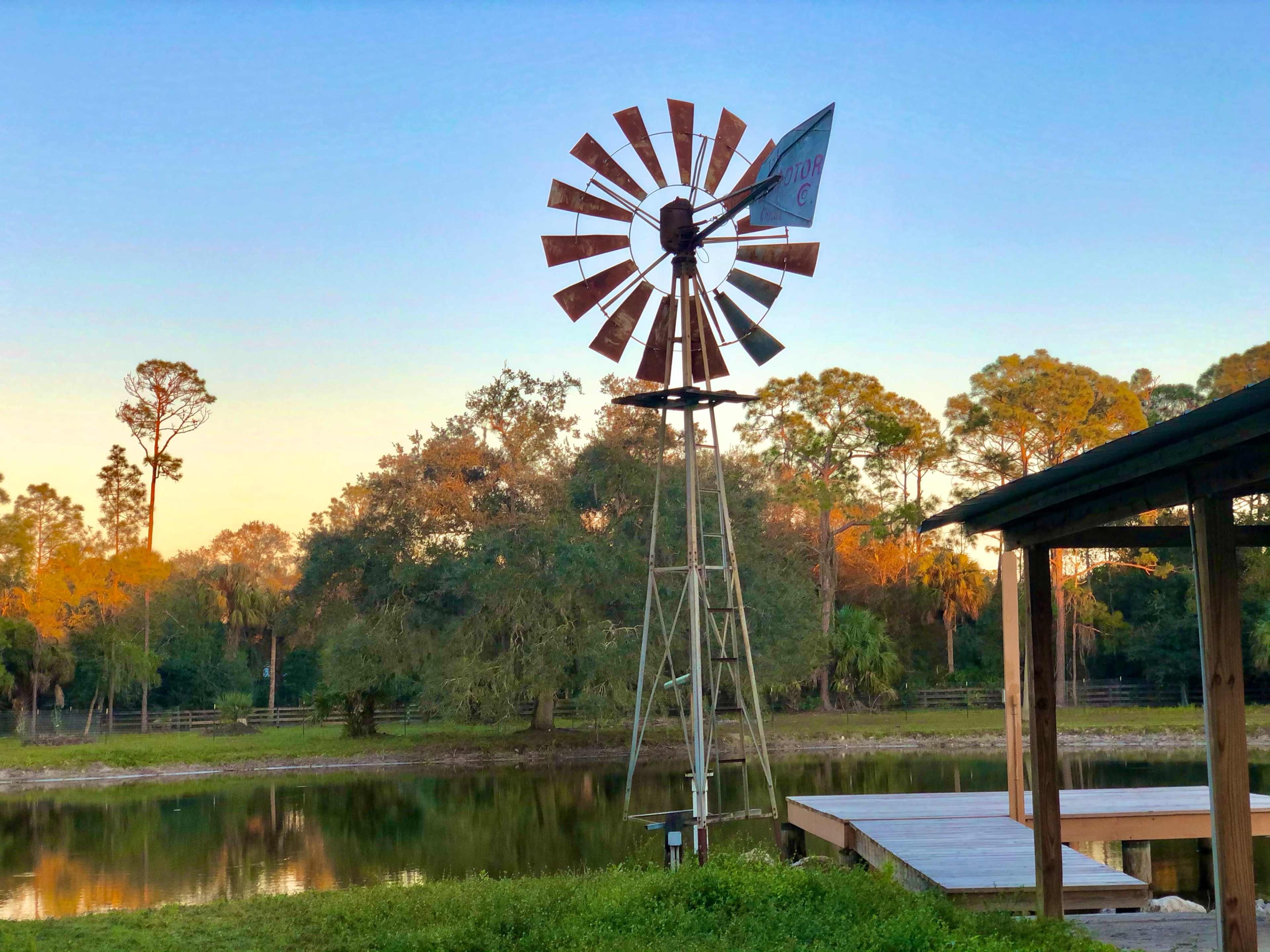 A windmill stands beside a pond, surrounded by trees and a wooden deck in the early morning light.
