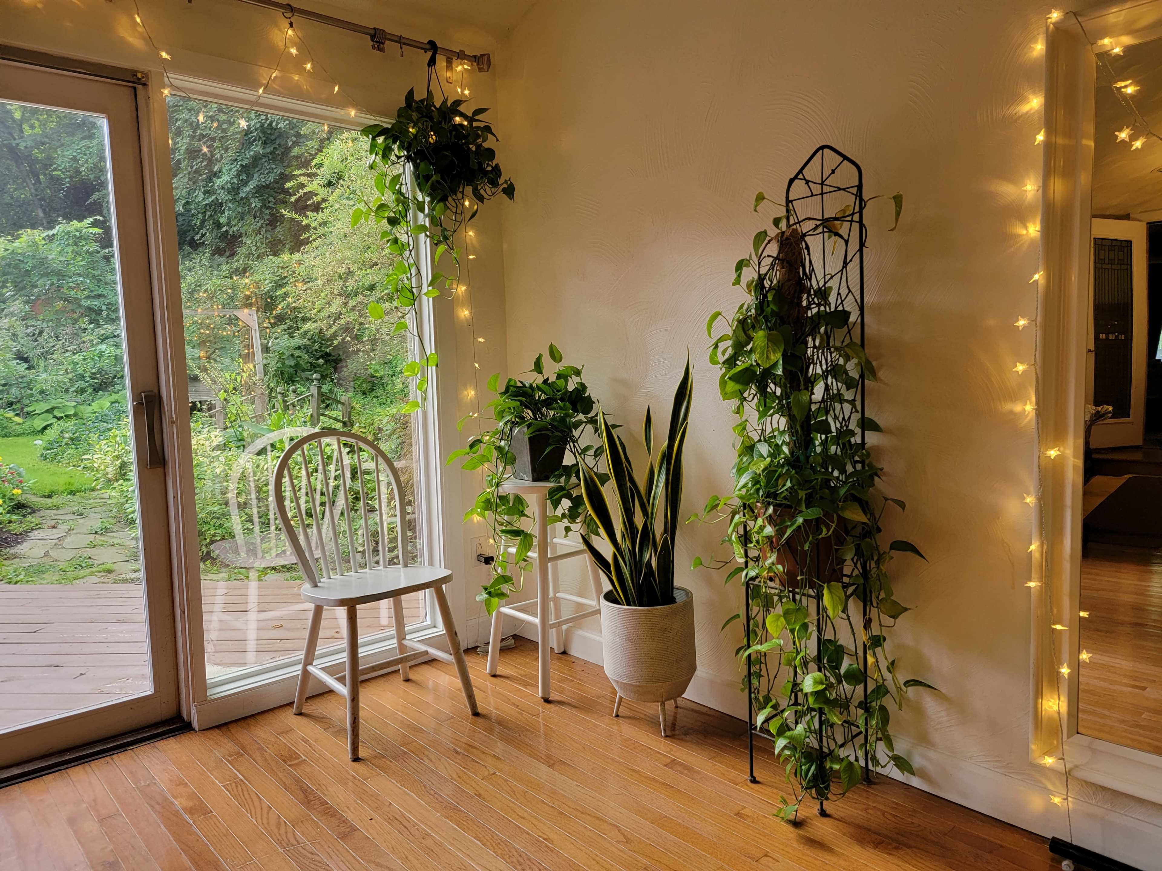 The image shows a bright interior space with a white chair, potted plants, and a large window overlooking a garden.
