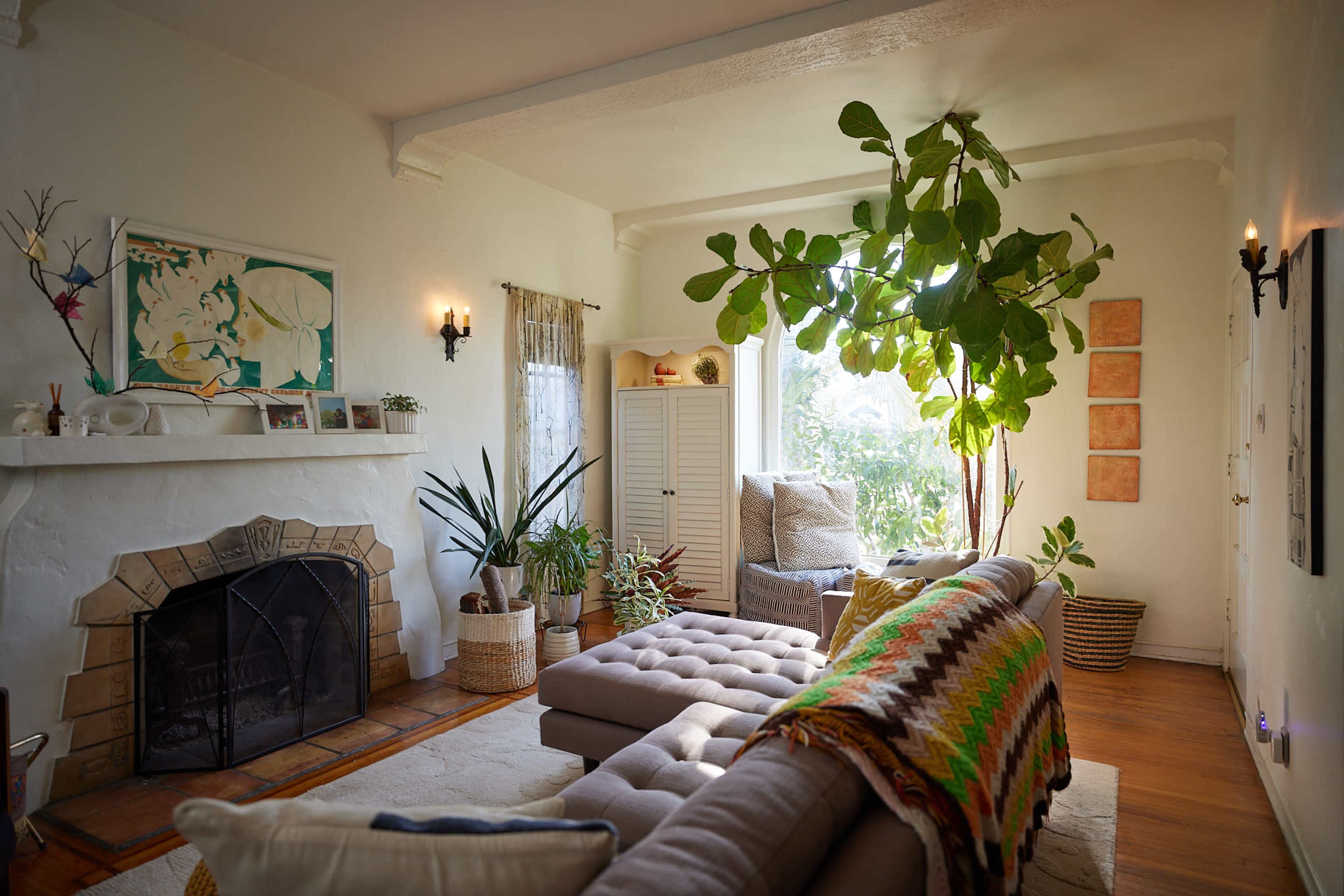 The image shows a bright living room with a large window, a cozy sofa adorned with a colorful throw, and various plants, including a tall tree in the corner.