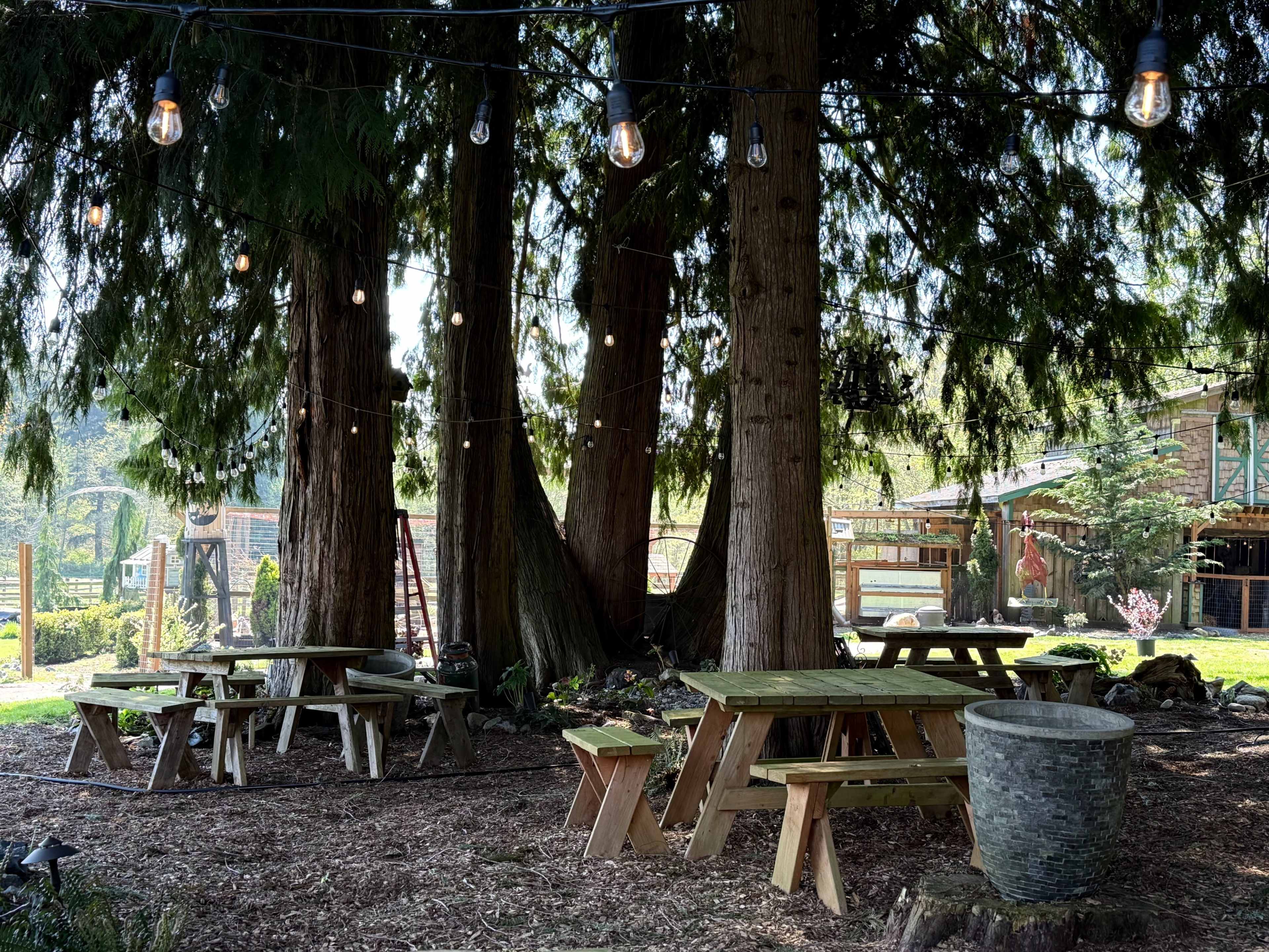 A whimsical, storybook hobby farm with views of the valley and mountains Image in Stimson Crossing, Marysville, WA