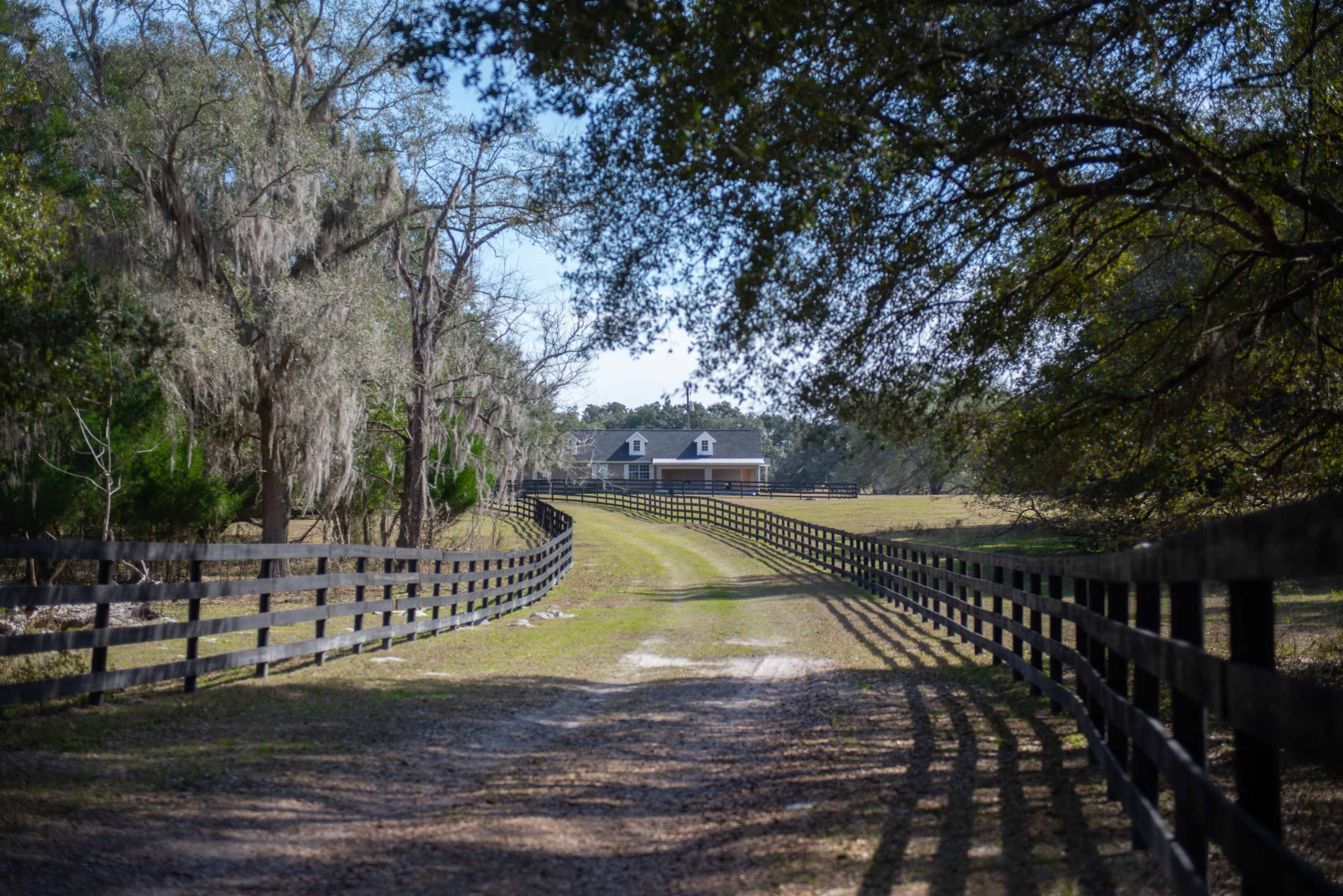 A gravel road leads up to a house at the end of a tree-lined driveway, bordered by black wooden fences.
