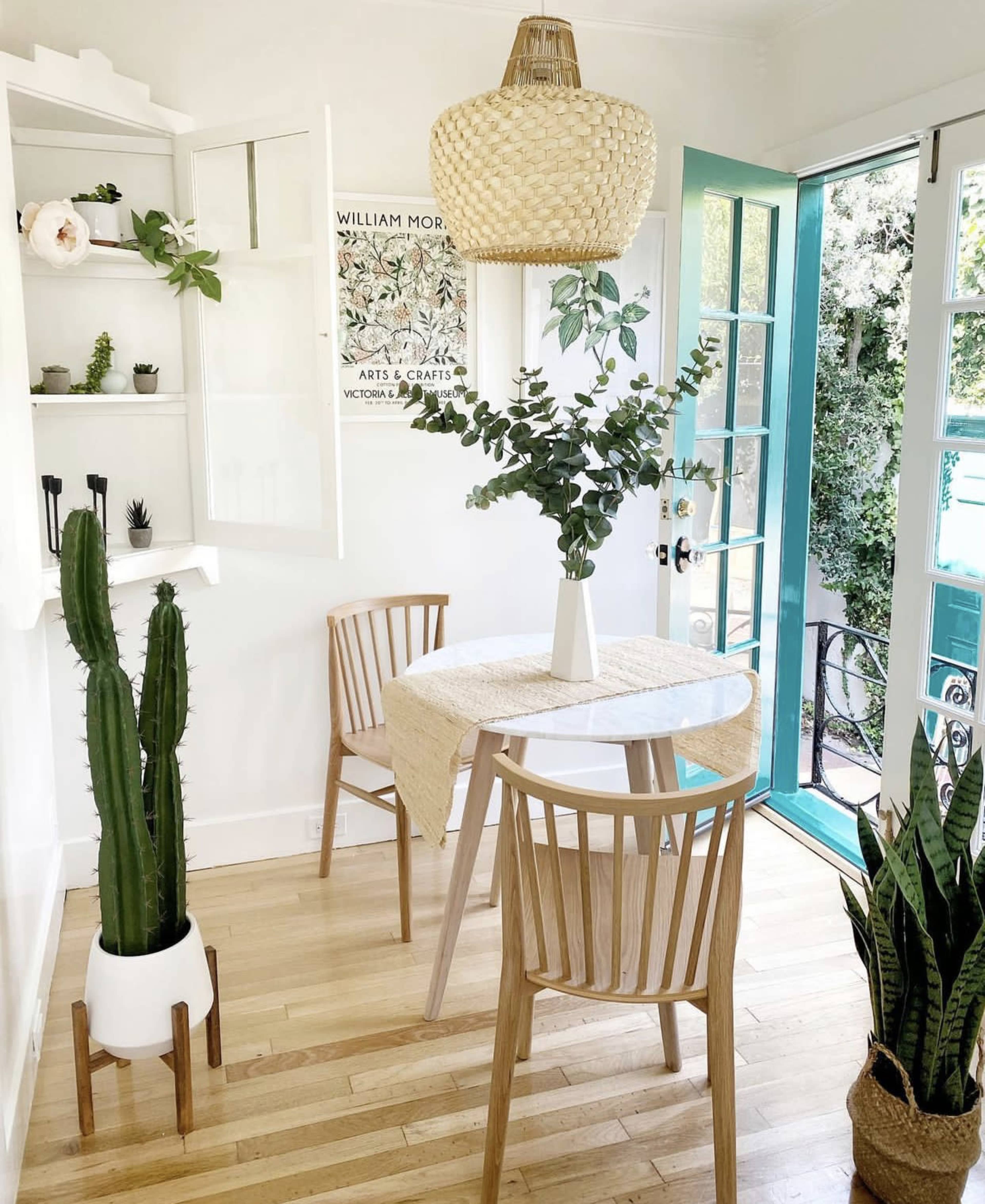 A bright dining area features a round table with a vase of greenery, surrounded by two wooden chairs, and includes a tall cactus and a decorative wall shelf.