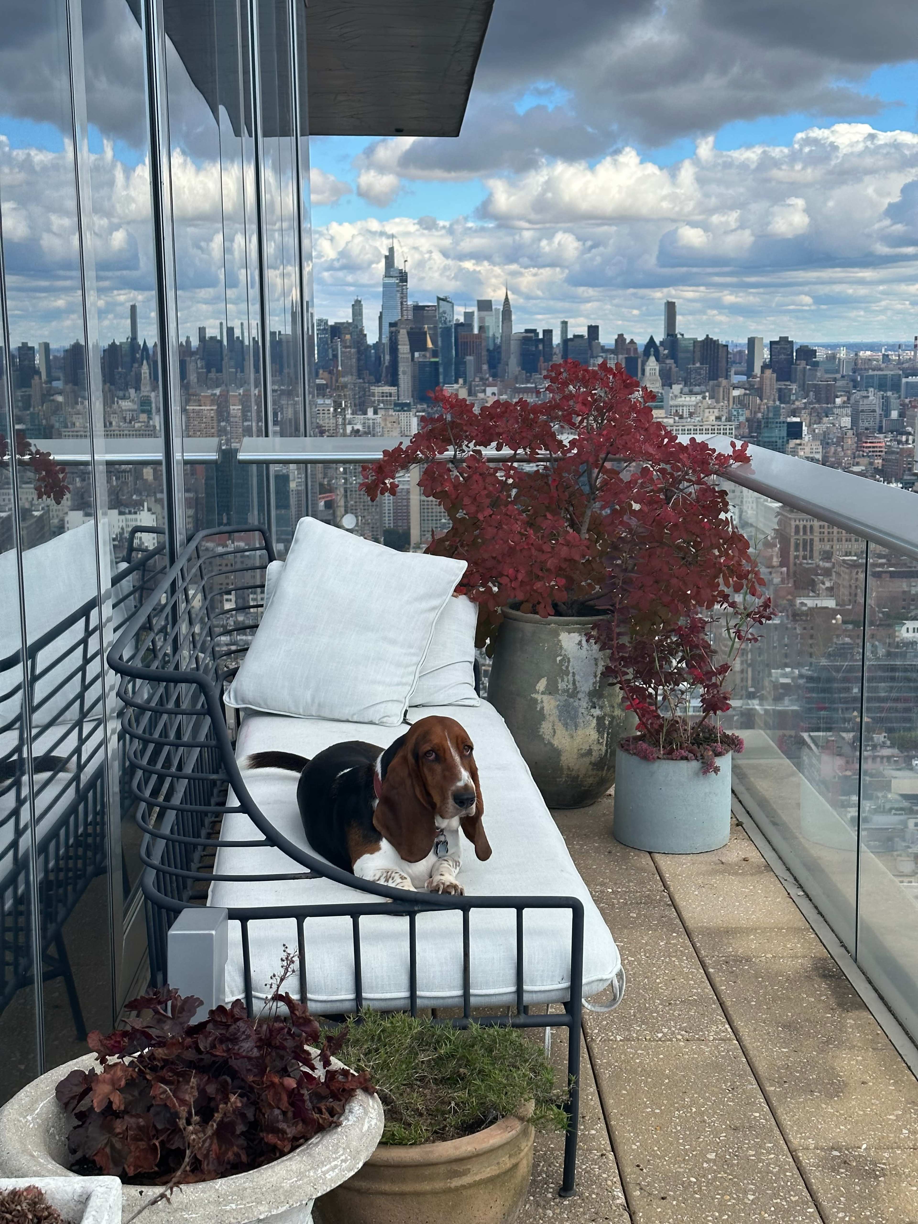 Panoramic Cinematic High-Rise Tribeca Penthouse with Outdoor Access Image in Lower Manhattan, New York, NY