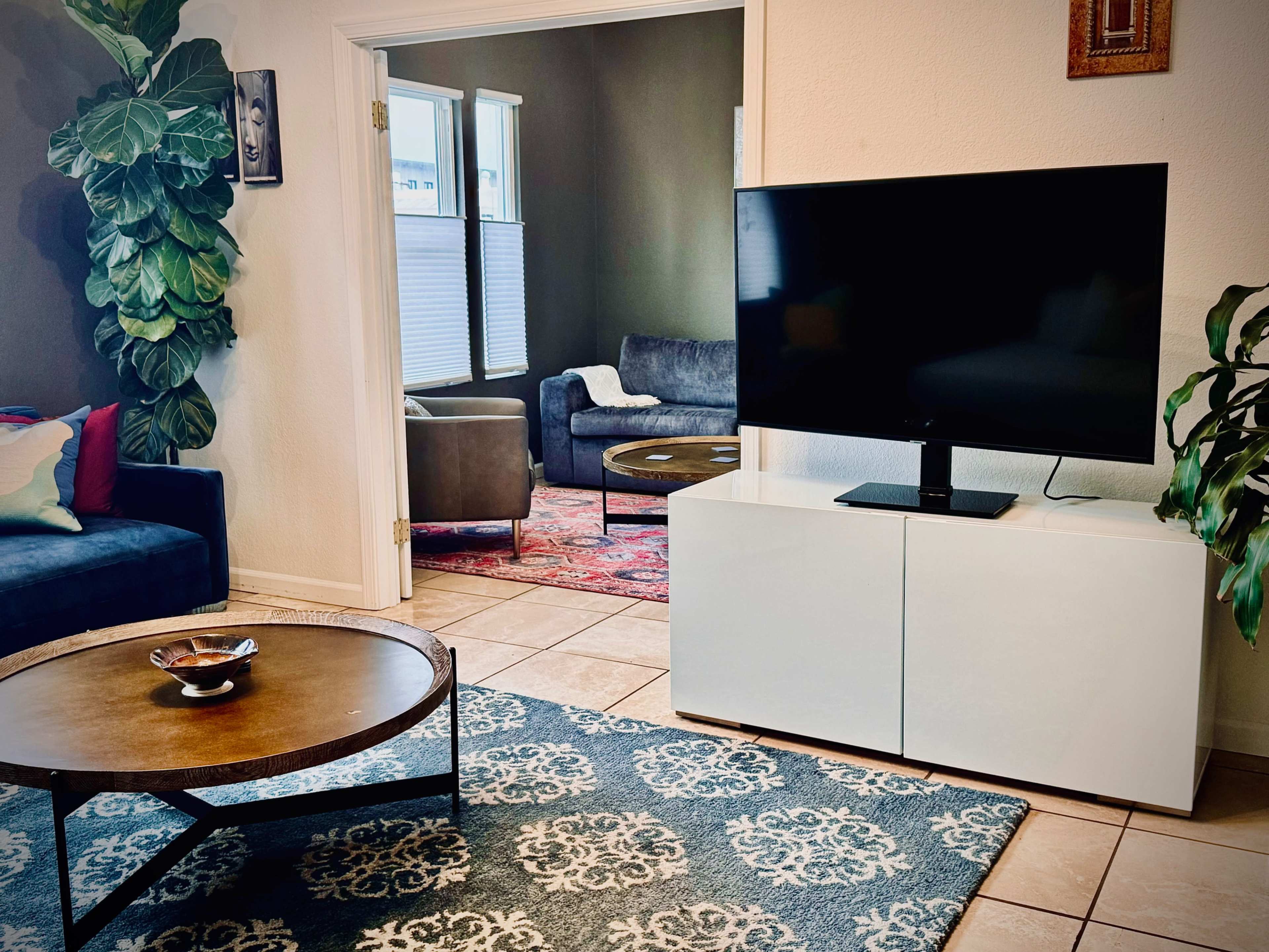 A living room features a television on a white cabinet, a round coffee table, a patterned rug, and a large plant beside a couch.