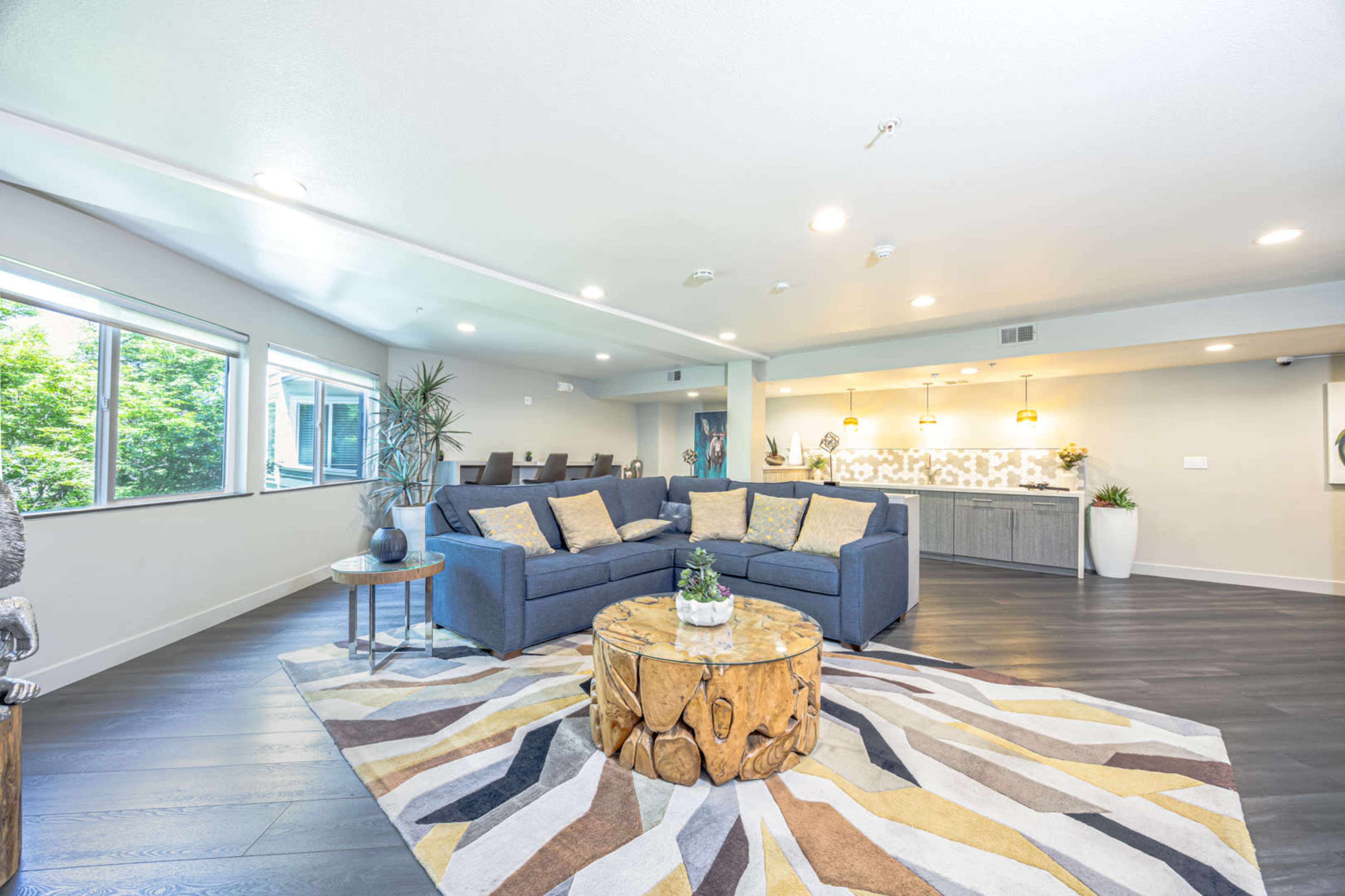 The image shows a modern living area with a gray sofa, a round wooden coffee table, and a patterned rug, featuring large windows that provide natural light and a view of greenery outside.