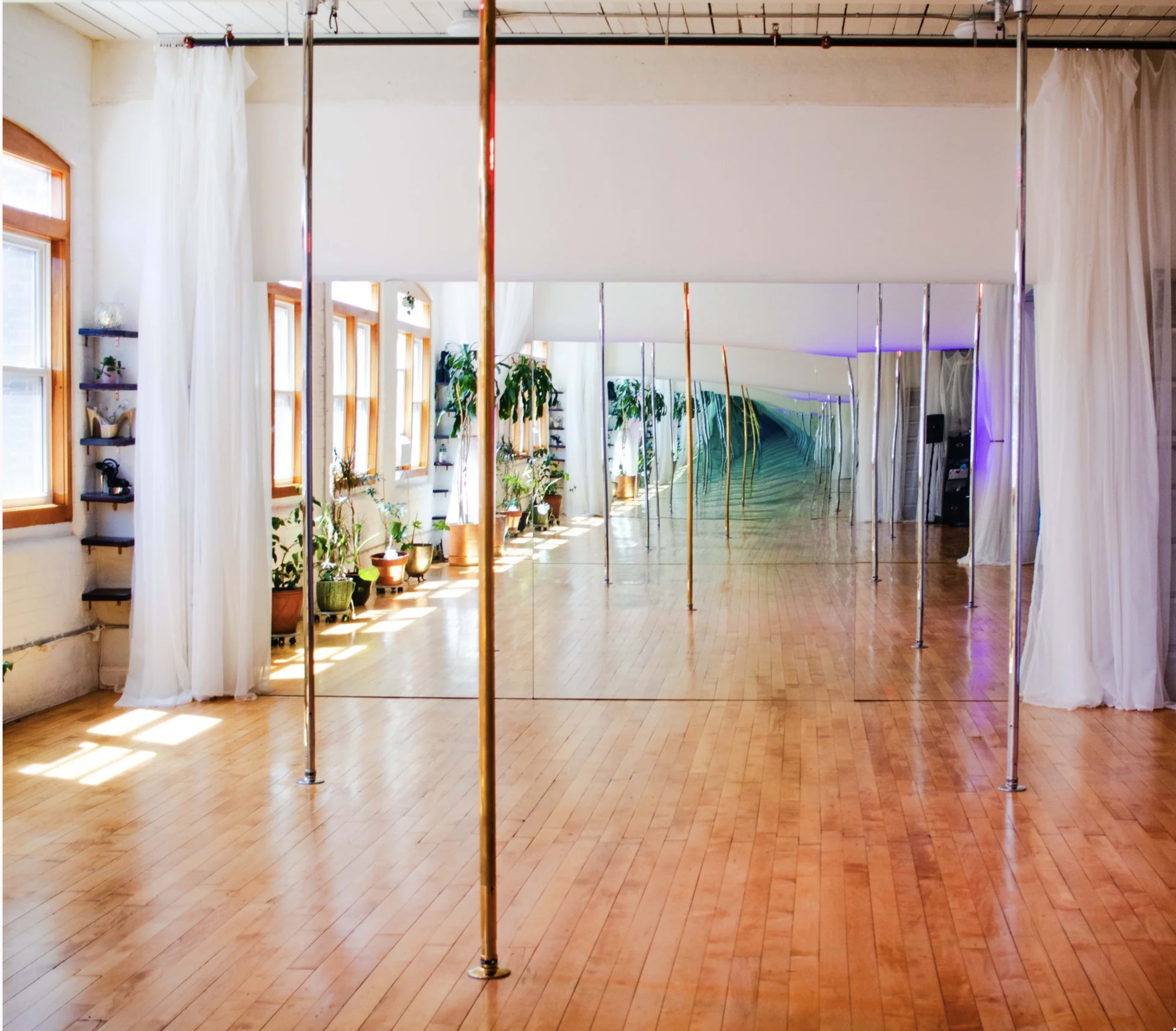 A studio space features multiple mirrored walls, polished wooden floors, and several dance poles, illuminated by natural light from large windows.