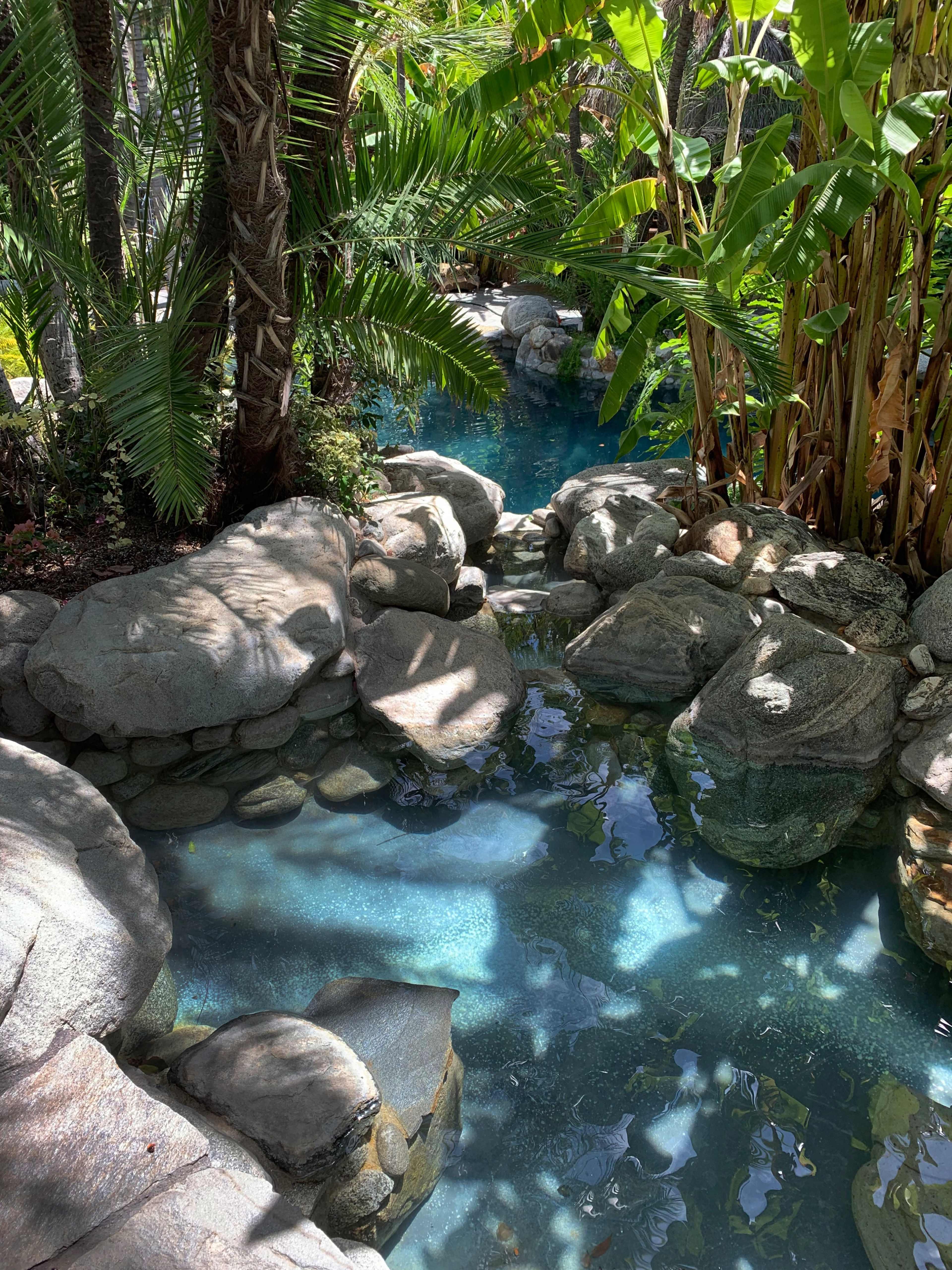 The image depicts a serene natural pool surrounded by rocks and lush green foliage.