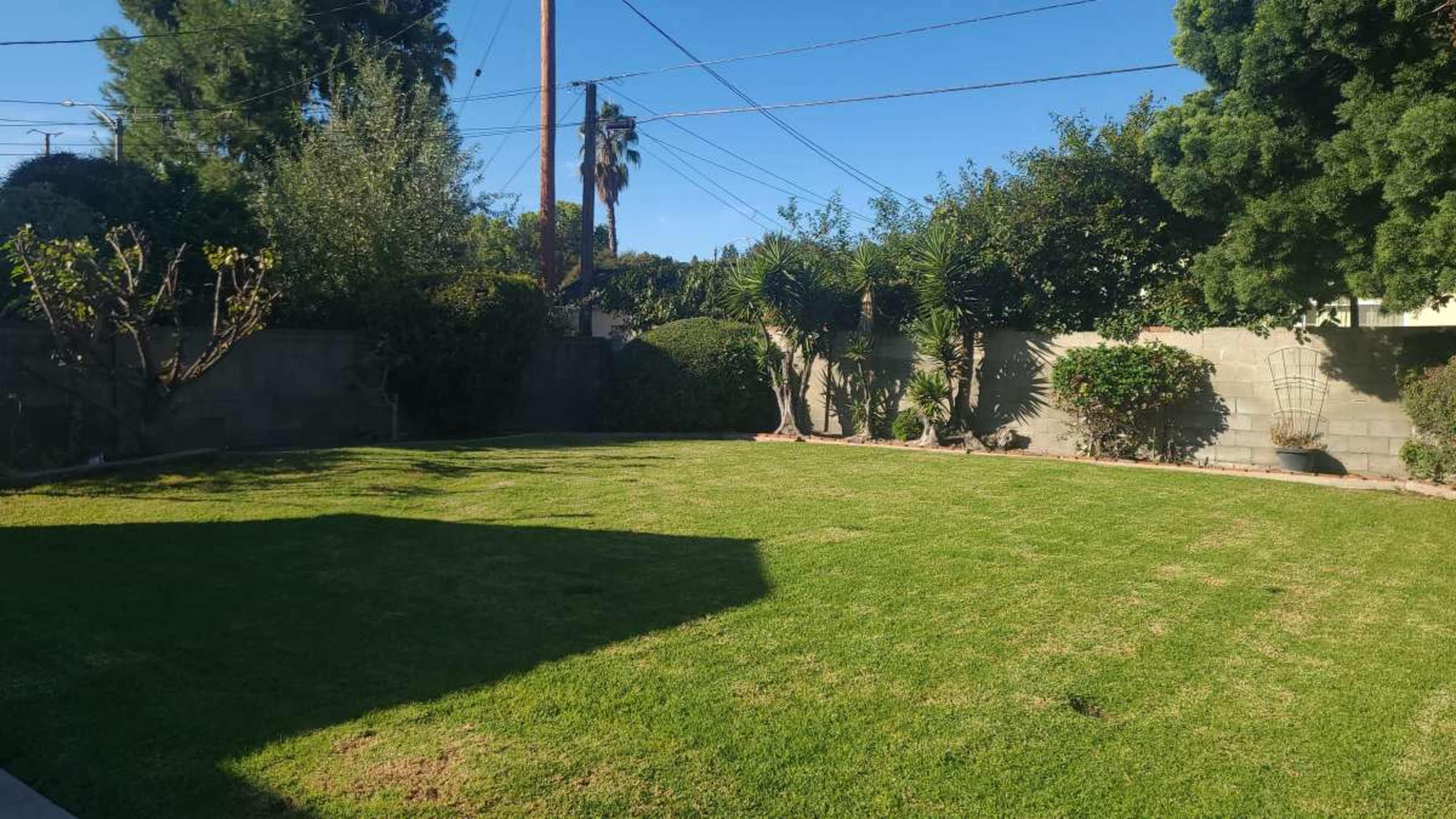 The image shows a well-maintained backyard with a freshly mowed lawn, surrounded by shrubs and trees under a clear blue sky.
