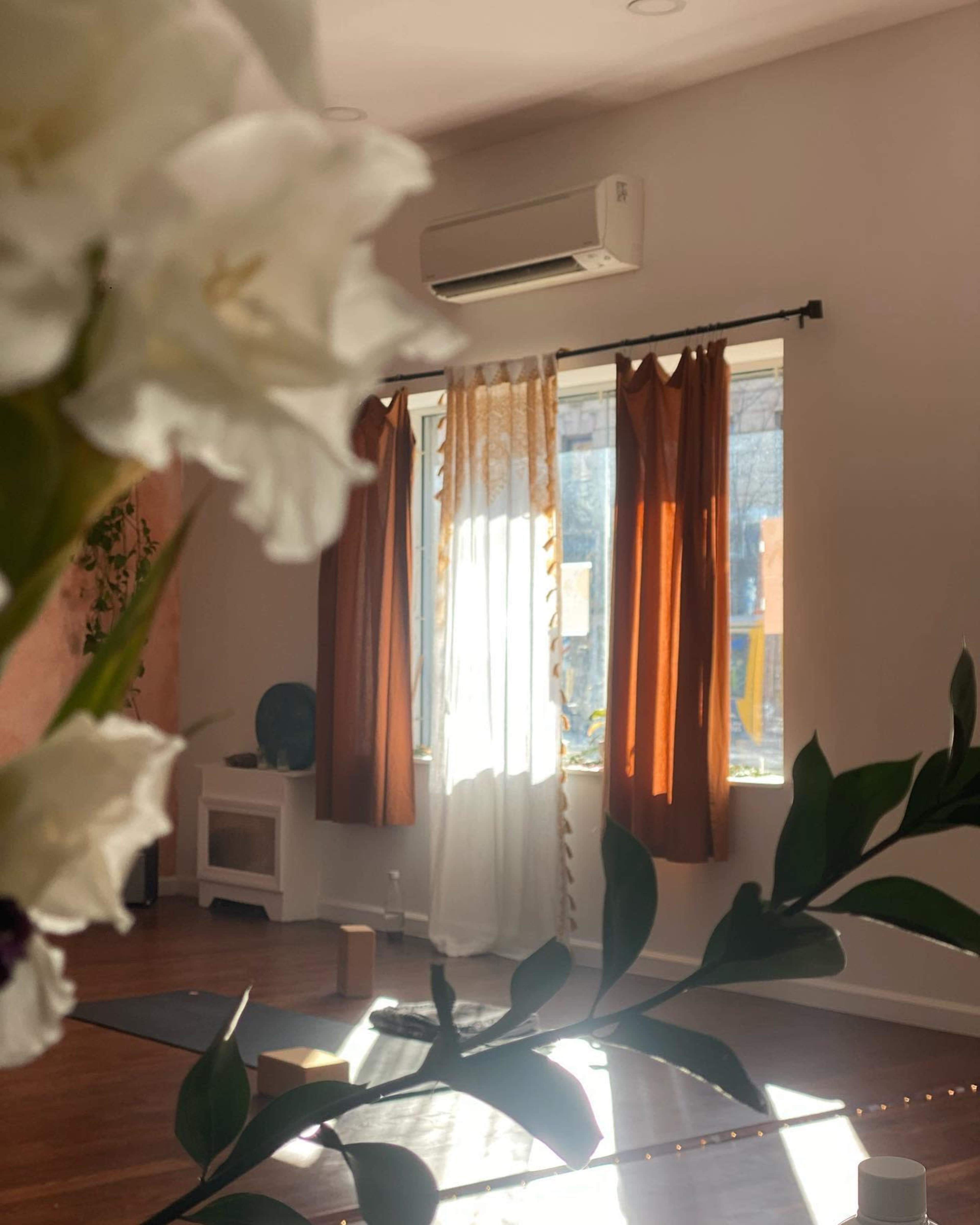 A sunlit room with brown curtains and a large window is partially framed by white flowers and greenery.