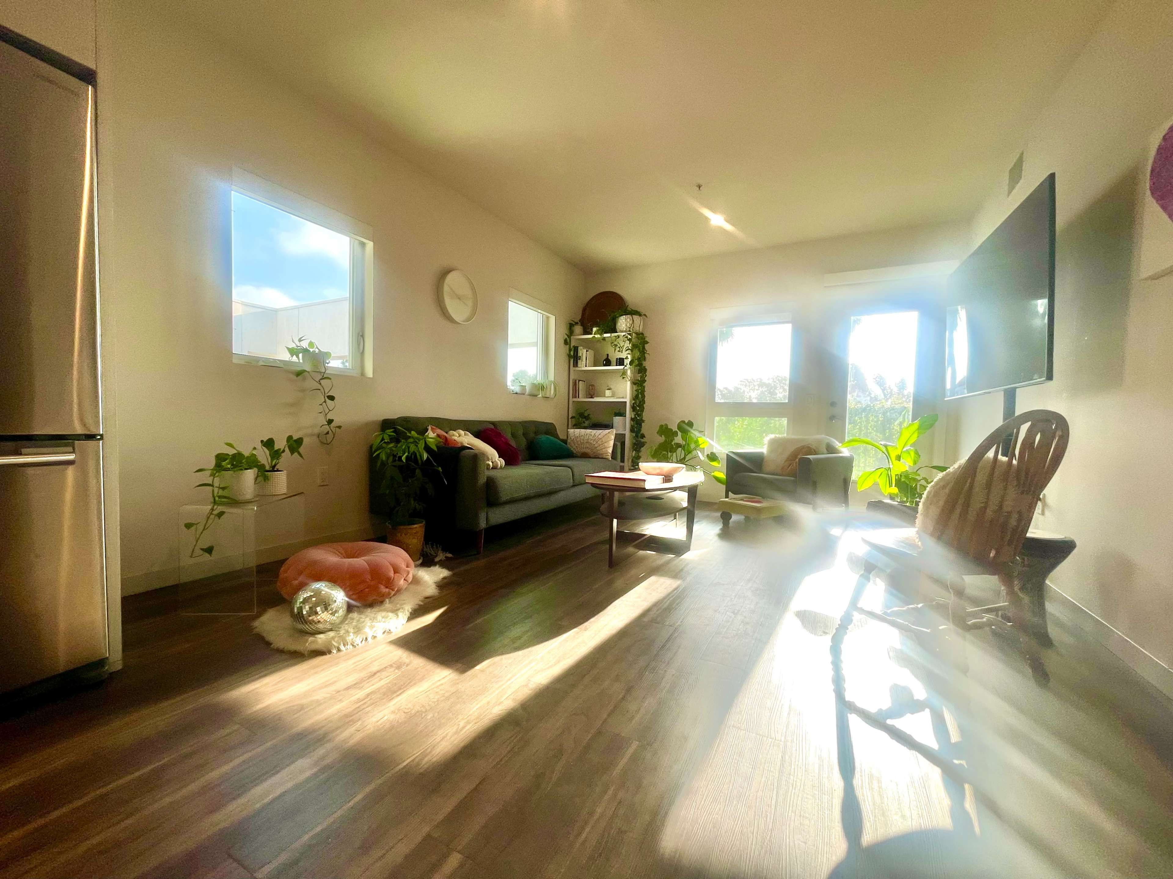 The image shows a well-lit living room with a green sofa, shelves with plants, and large windows letting in natural light.