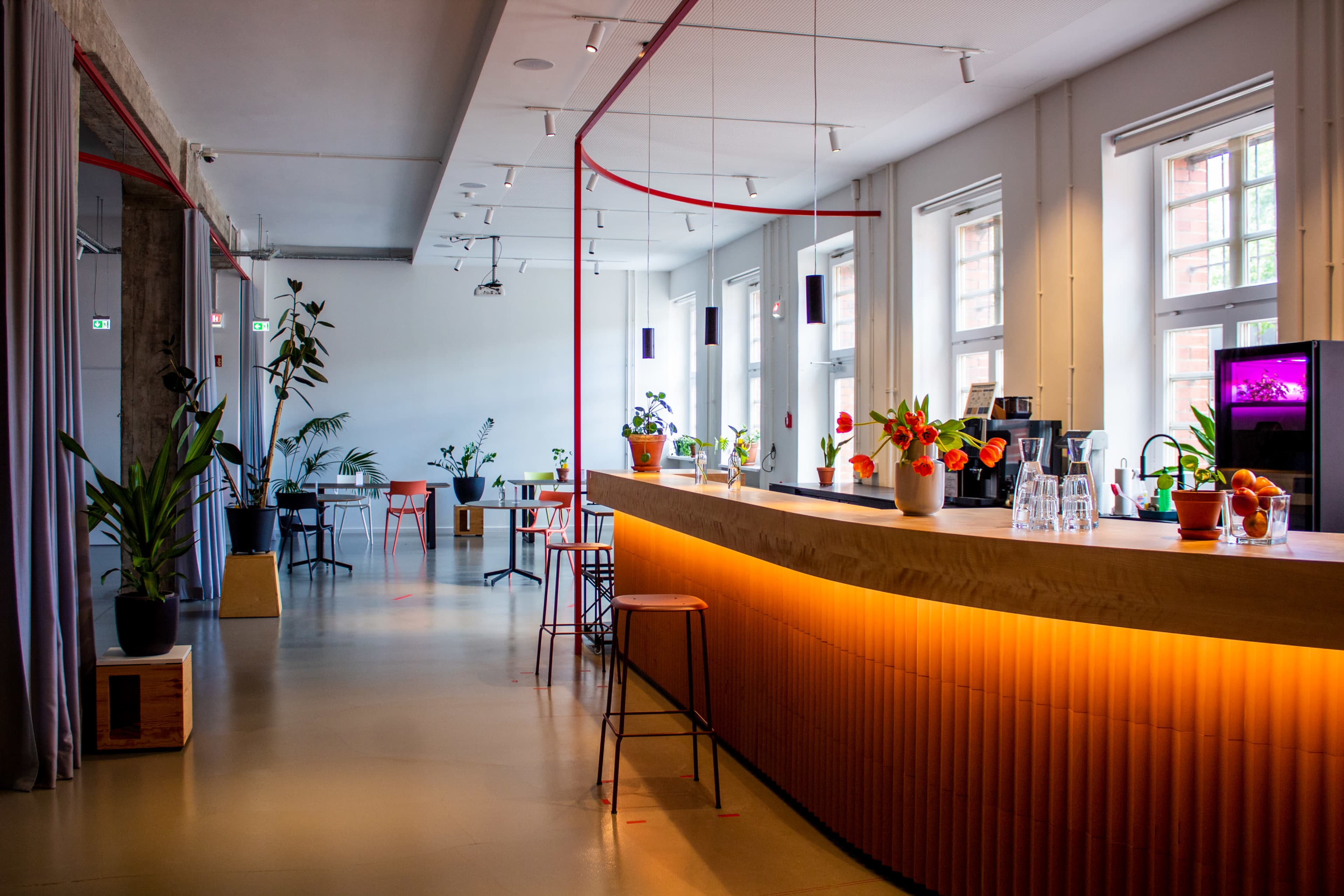 A modern cafe interior with a wooden bar, colorful chairs, and various potted plants, illuminated by natural light from large windows.