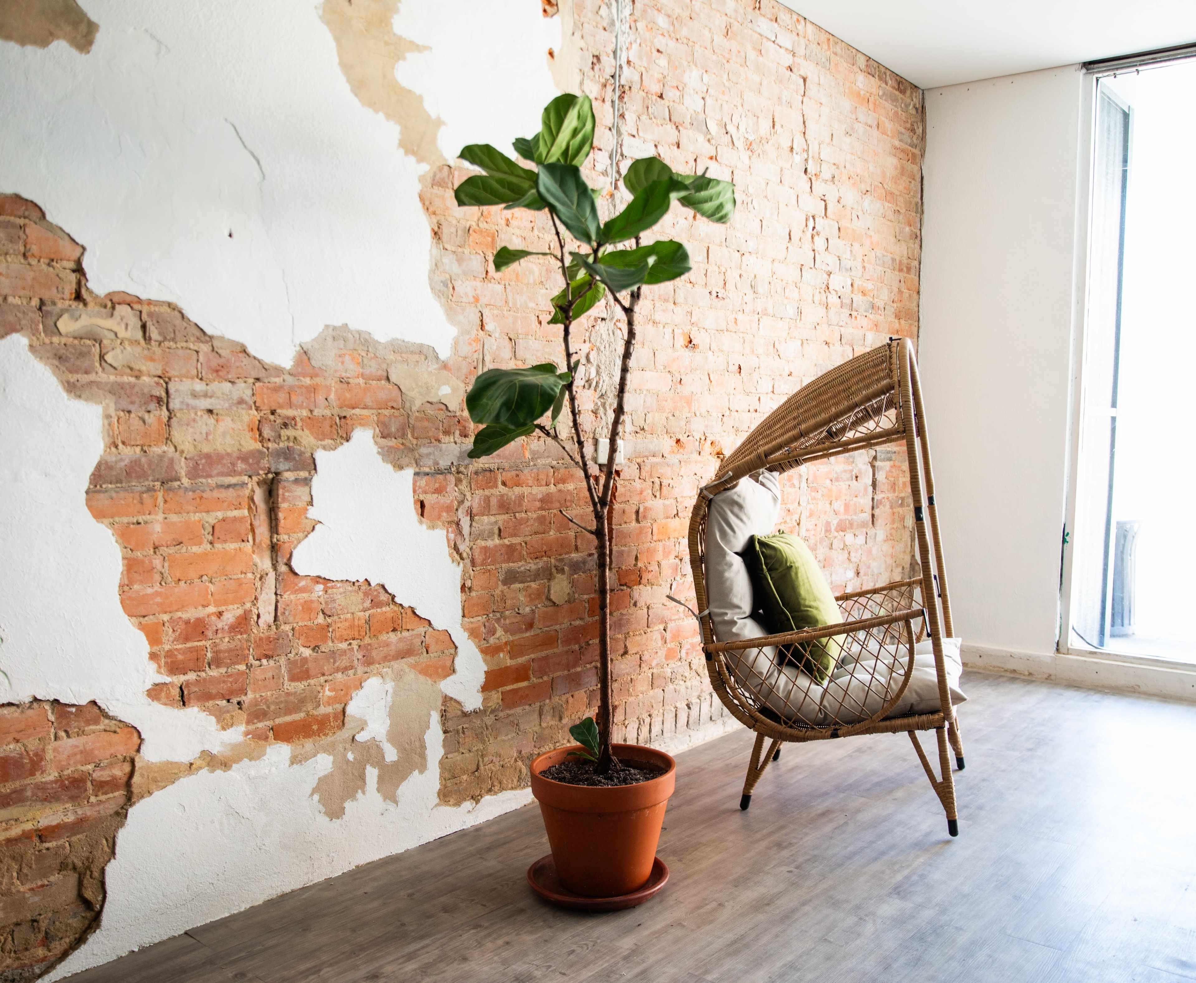A rattan chair with a cushion is positioned near a potted plant against a partially exposed brick wall in a bright room.