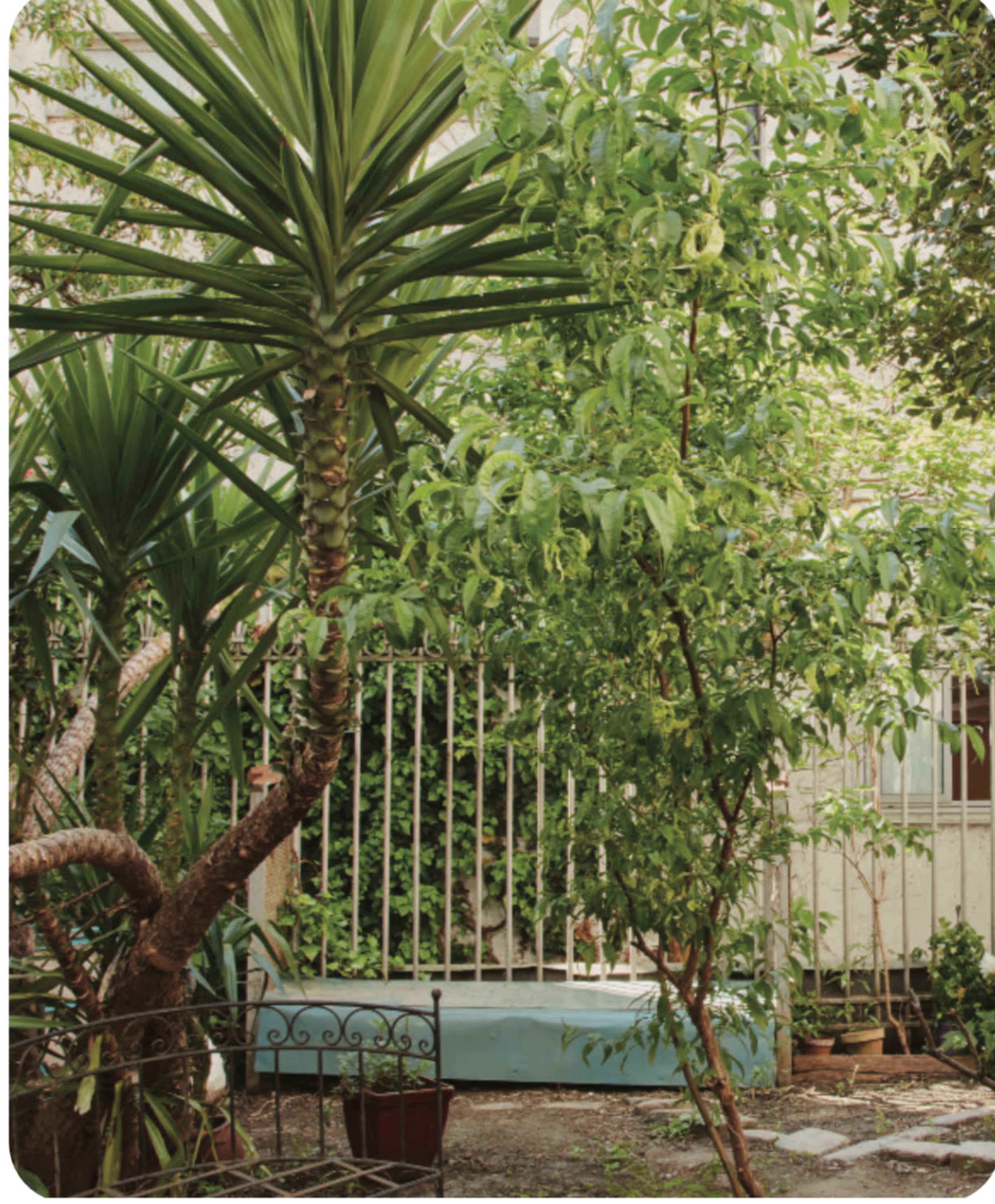 Loft, studio, jardin, exposition lumière naturelle Image in Barbès, Paris 18