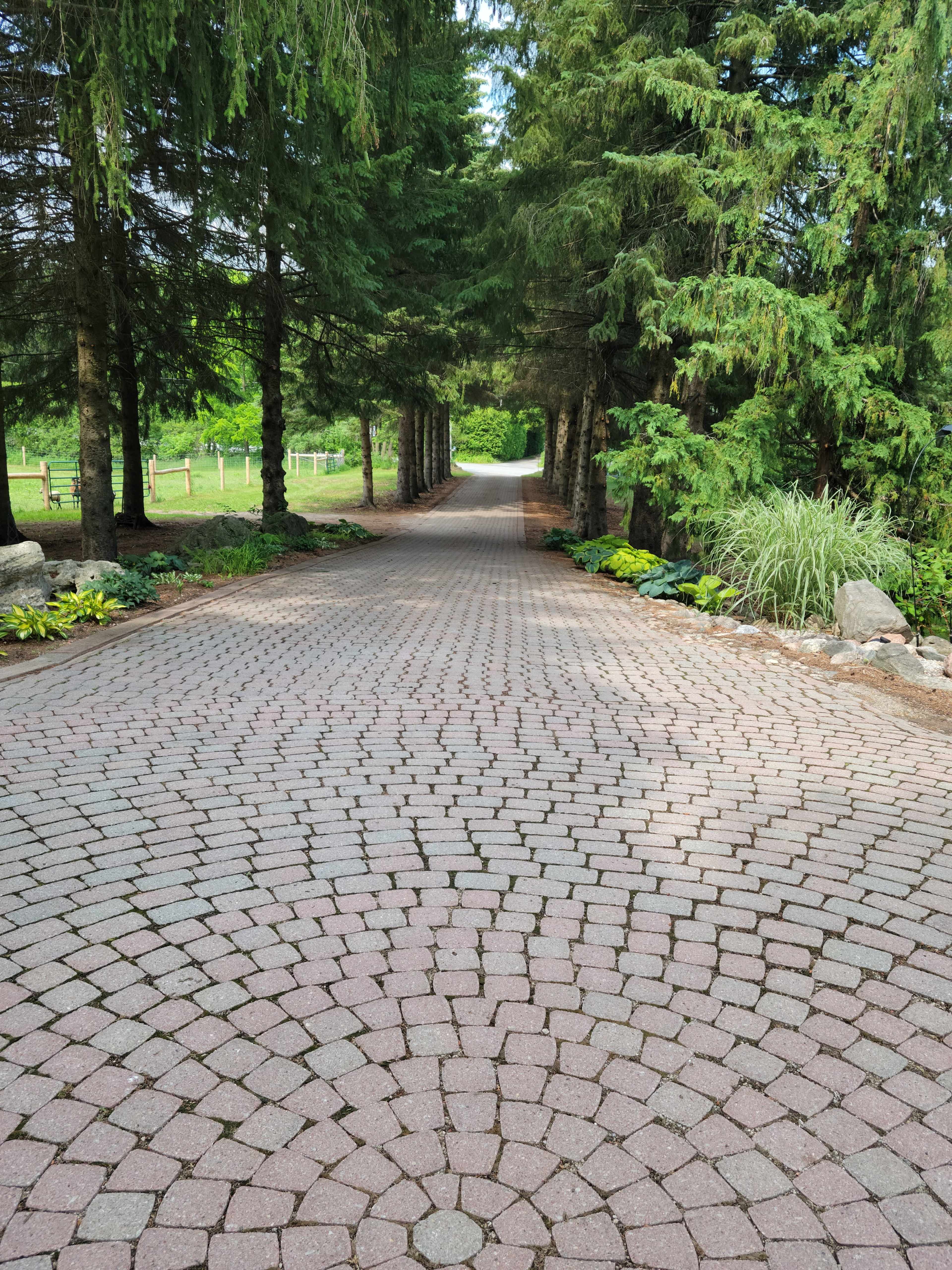 A brick pathway lined with trees leads toward a distant opening in a lush, green landscape.