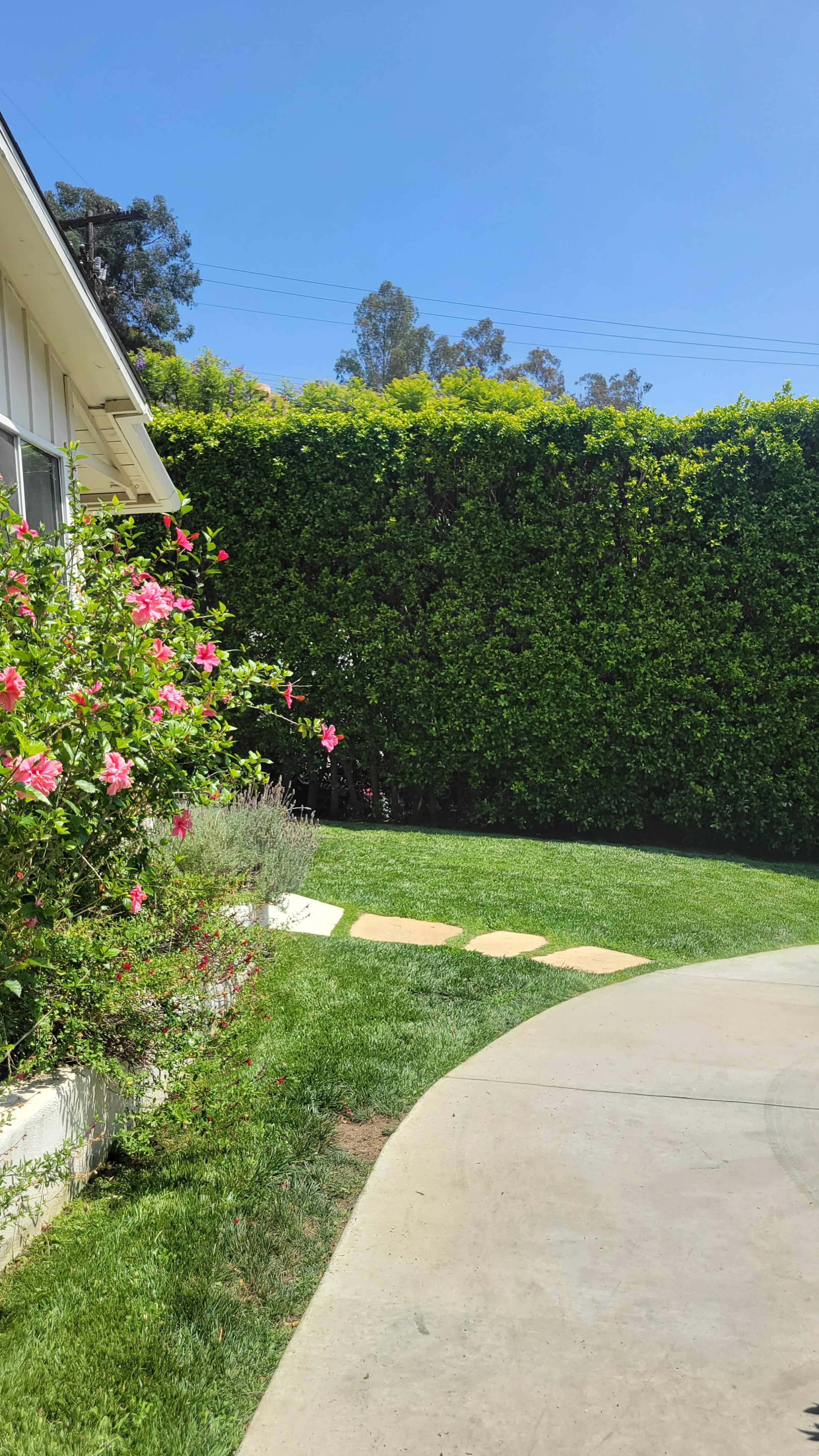 A curved pathway of stone steps leads through a manicured lawn bordered by blooming pink flowers and a tall green hedge.
