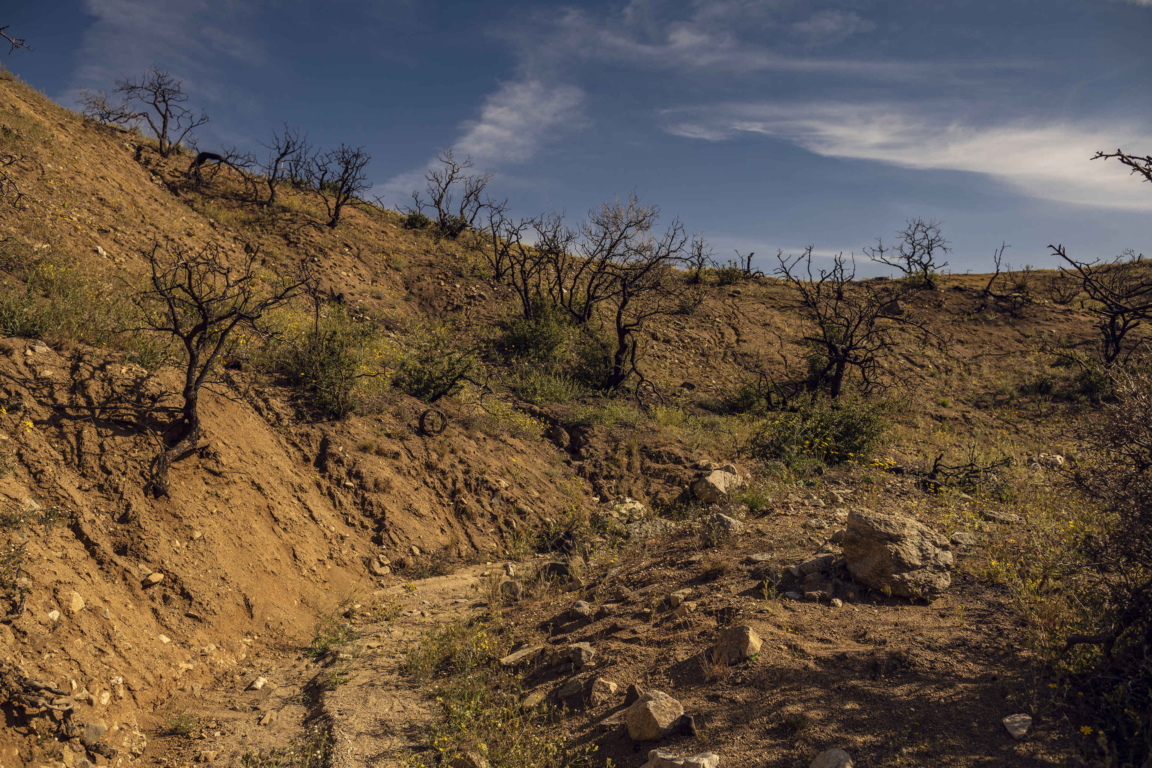 A dry, barren landscape features sparse vegetation and charred tree stumps on a sloped hillside under a blue sky with wispy clouds.