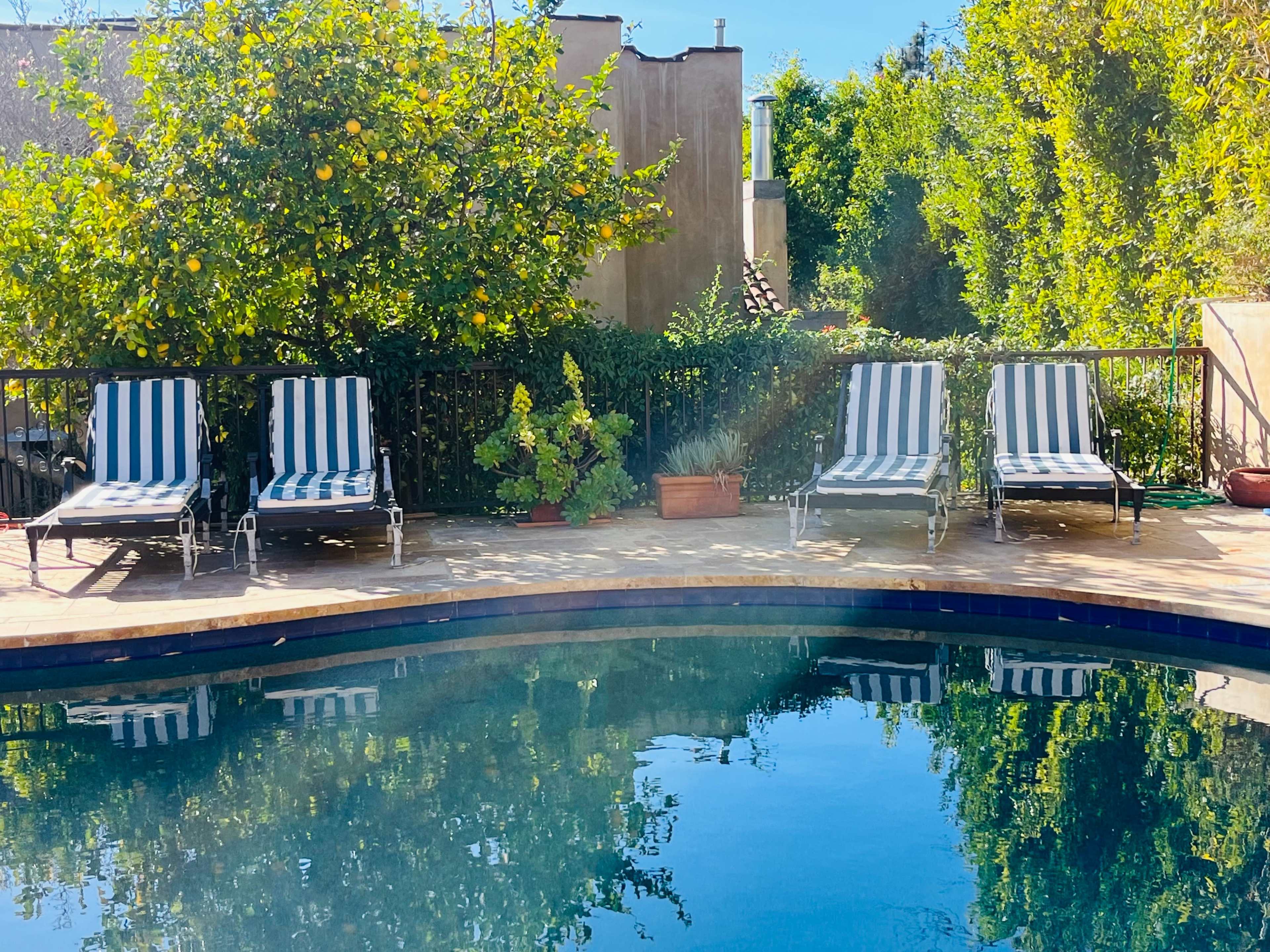 The image shows a swimming pool surrounded by striped lounge chairs and lush greenery.
