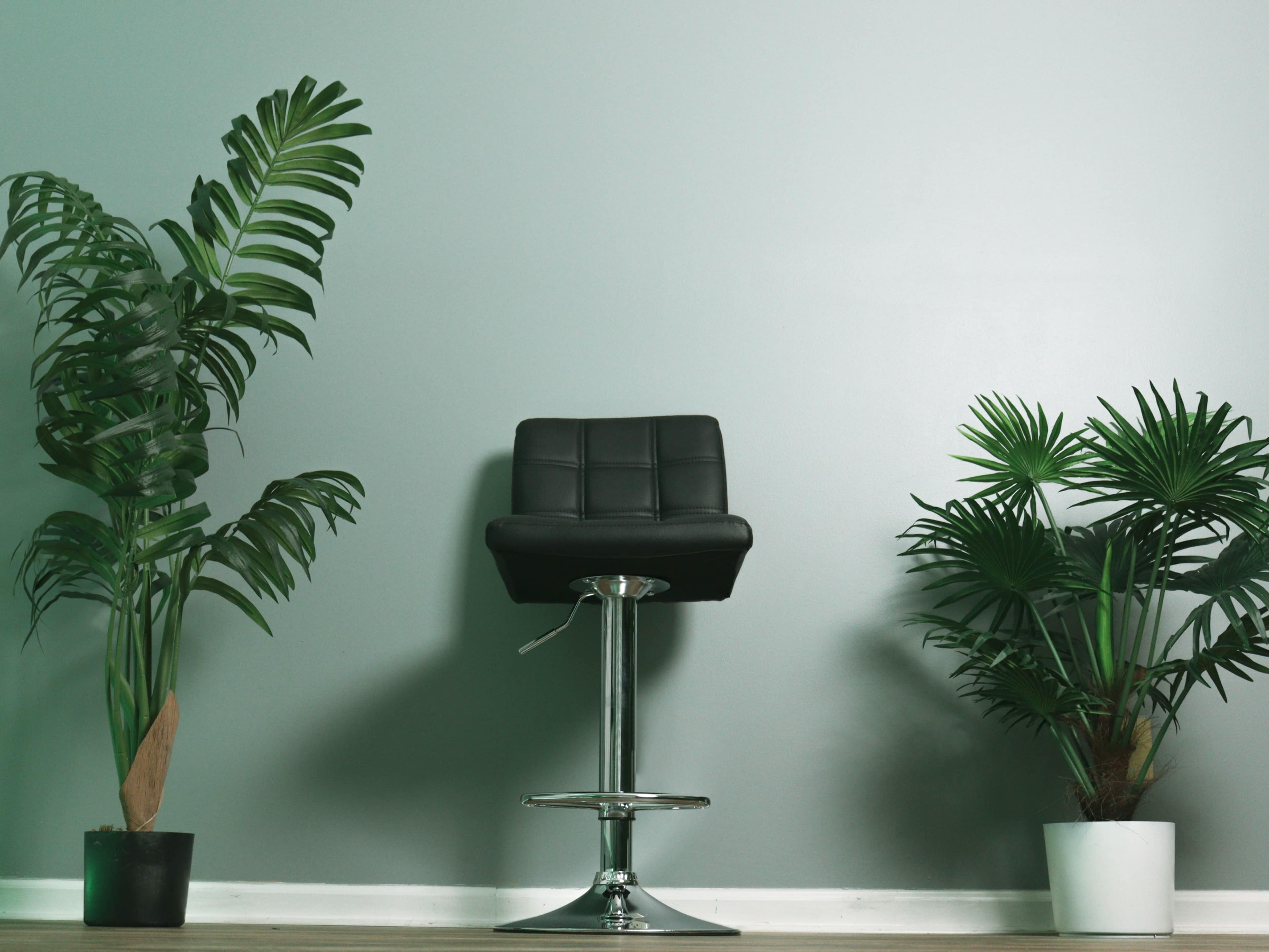 A black bar stool is positioned between two potted plants against a gray wall.
