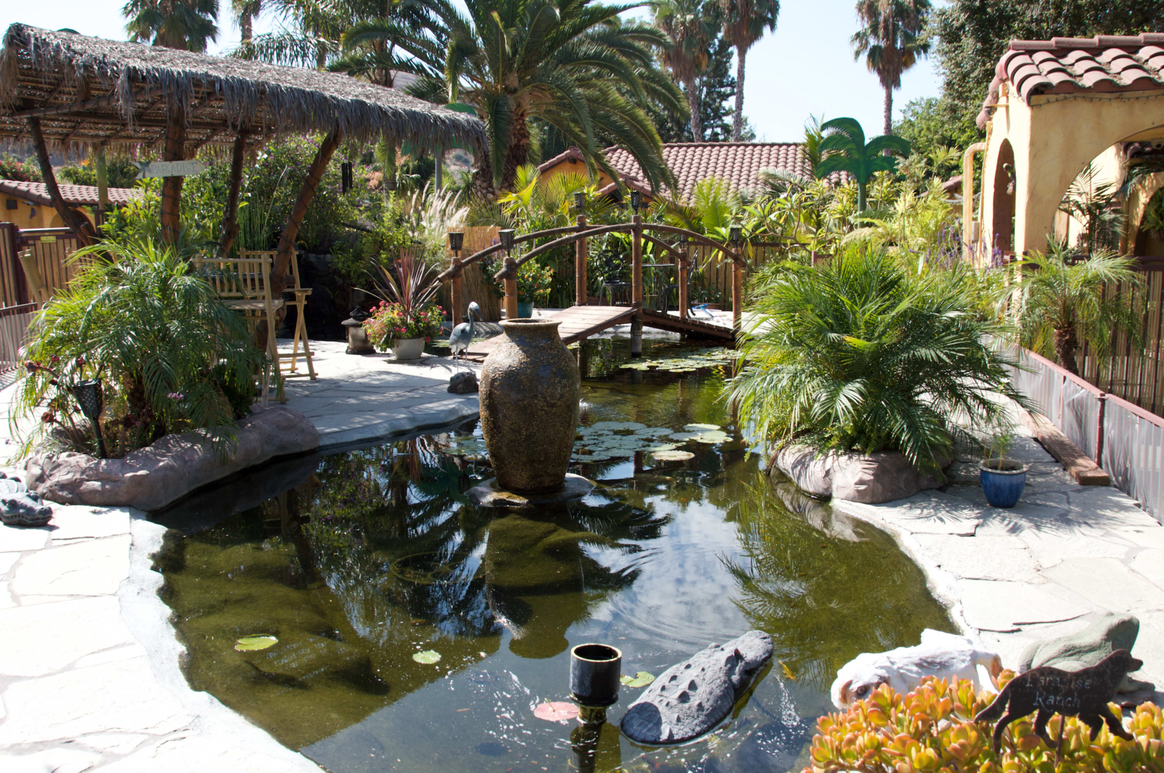 The scene features a tranquil garden with a stone pond, a small wooden bridge, and palm trees surrounding lush greenery.