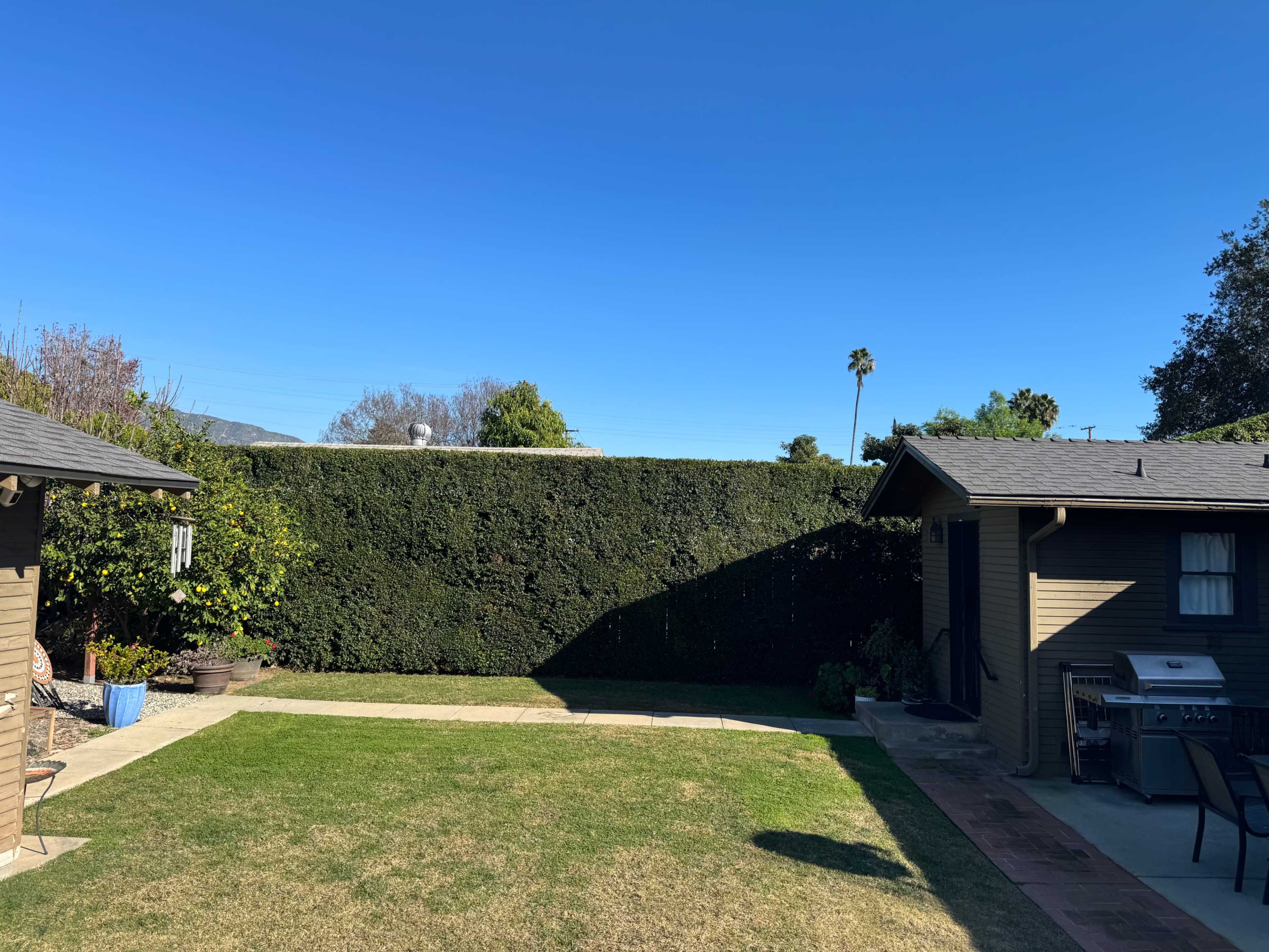 Private Backyard Event Space | Intimate Gatherings & Photo Shoots Image in , Monrovia, CA