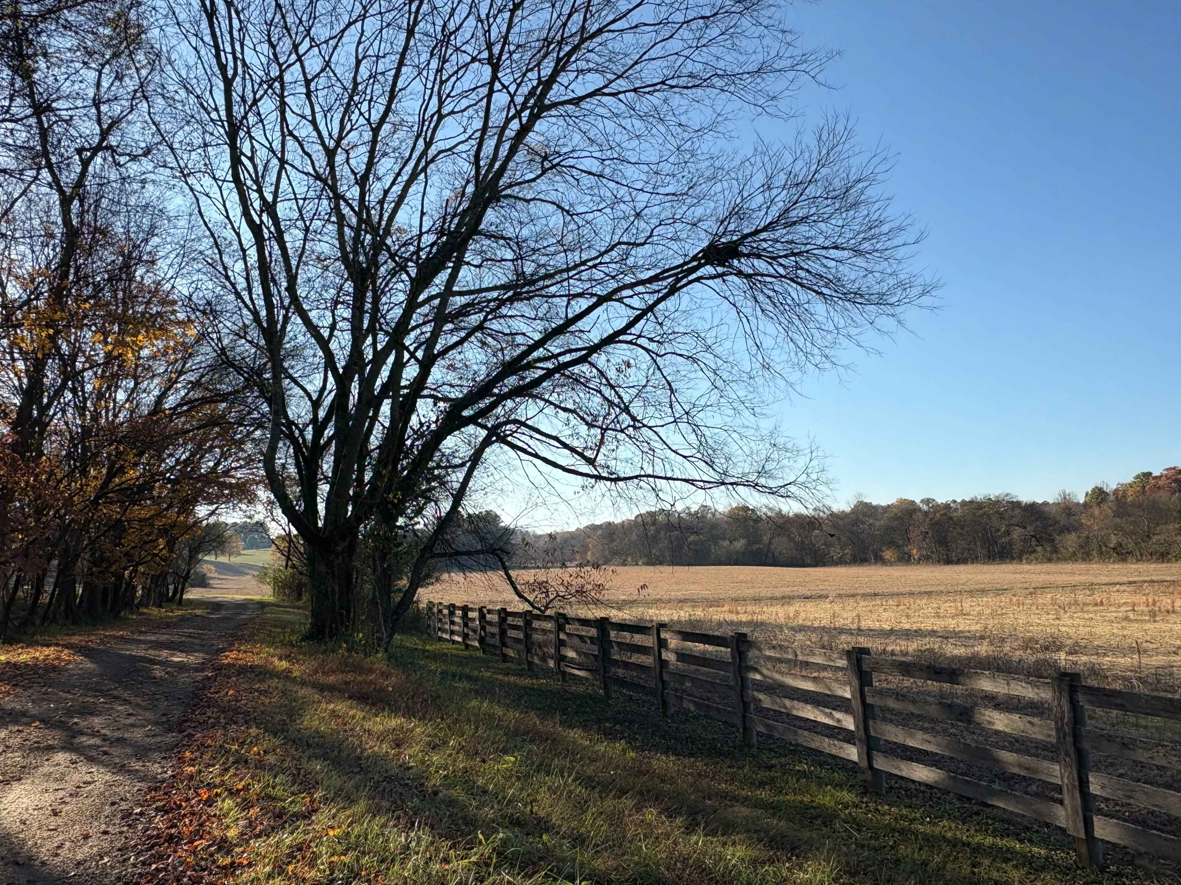 100 Acre Family Farm Along the Little River Image in , Maryville, TN