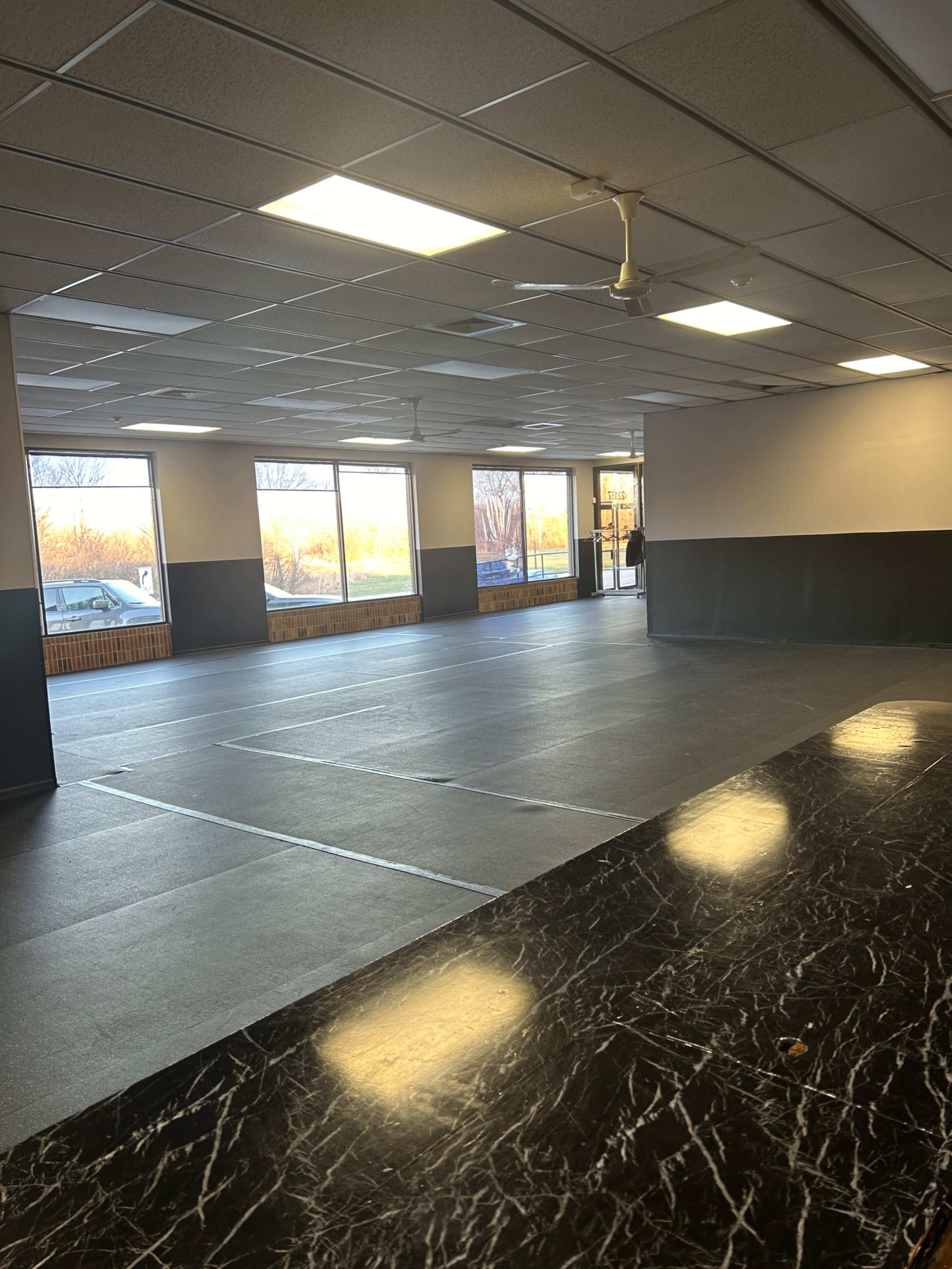 Indoor Turf Field Gym with wide Open Space Image in Rich Township, Richton Park, IL