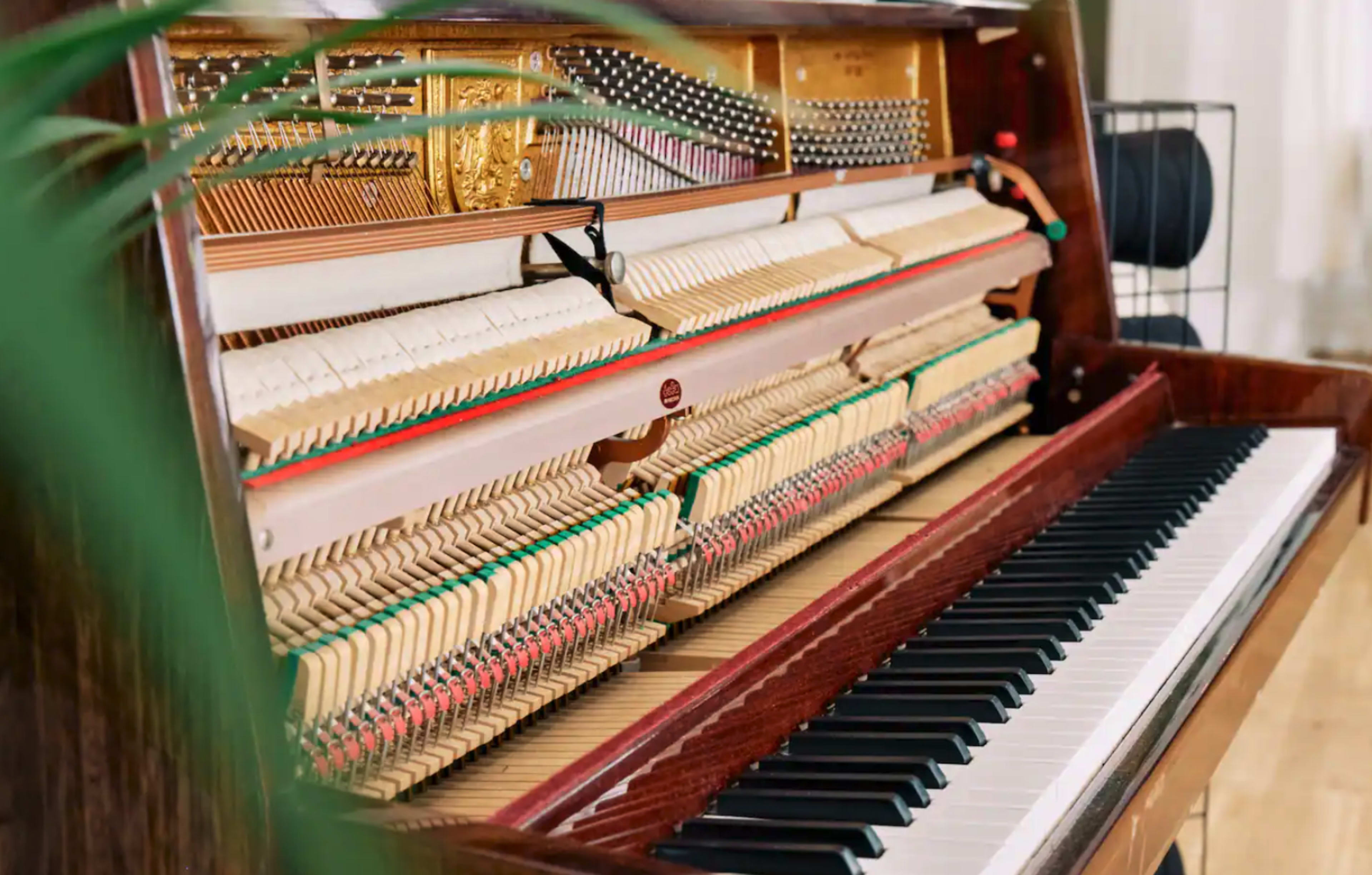 The interior mechanism of a grand piano, highlighting the strings and hammers above the black and white keys.