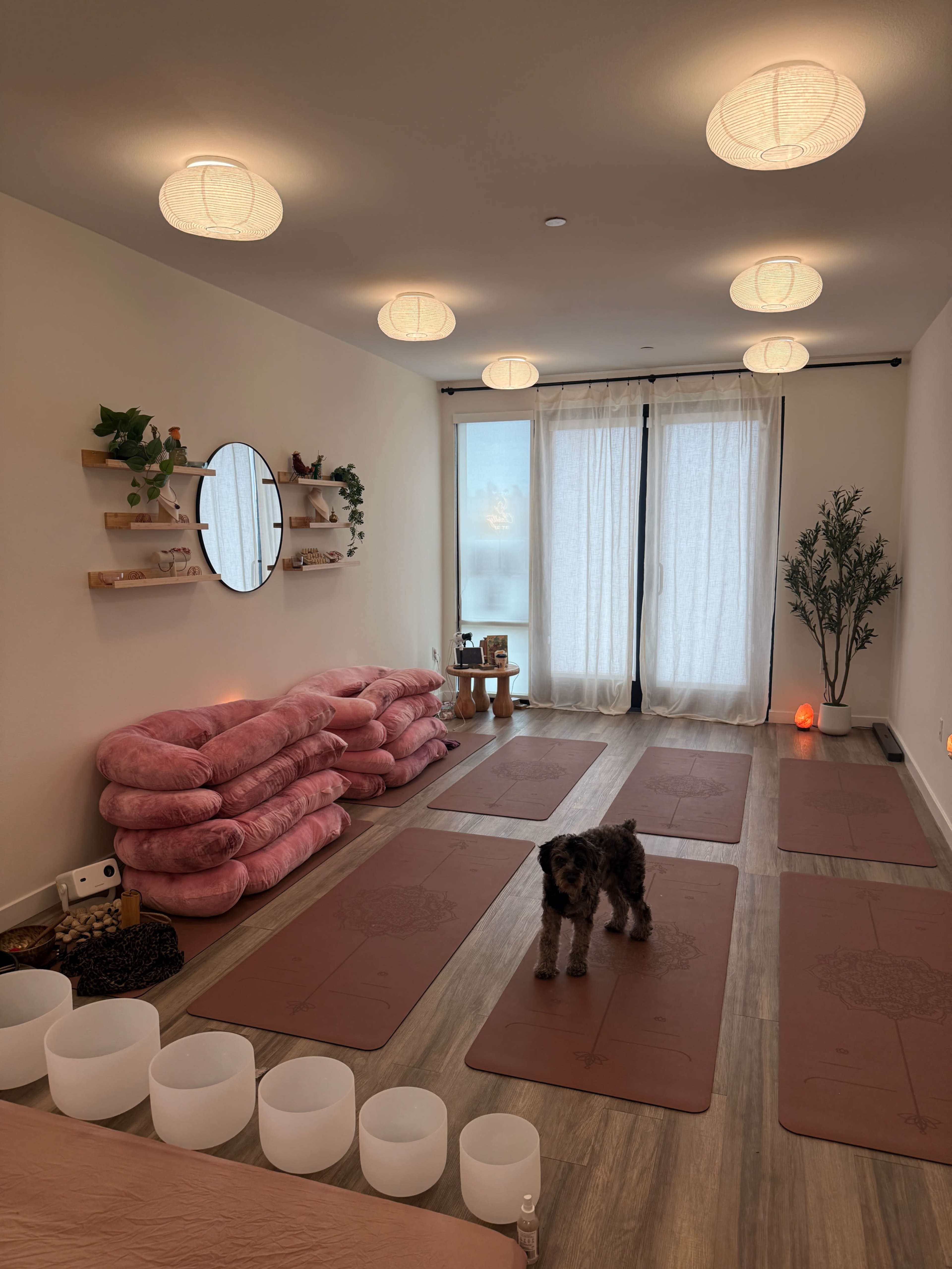 The image shows a serene yoga or meditation studio featuring pink cushions, yoga mats, a round mirror, and several large crystal singing bowls, with a dog in the center of the room.
