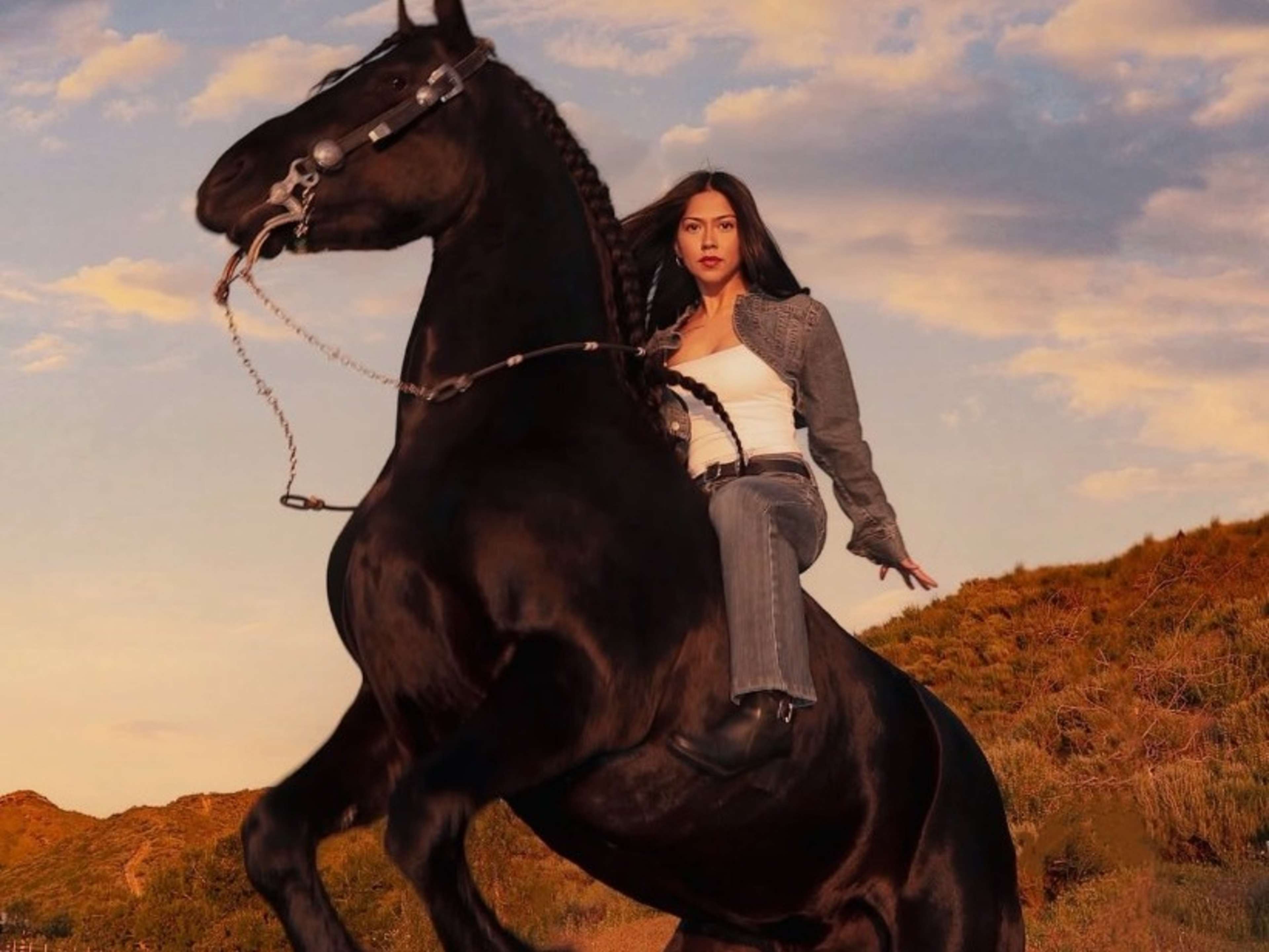 horse + horse handler