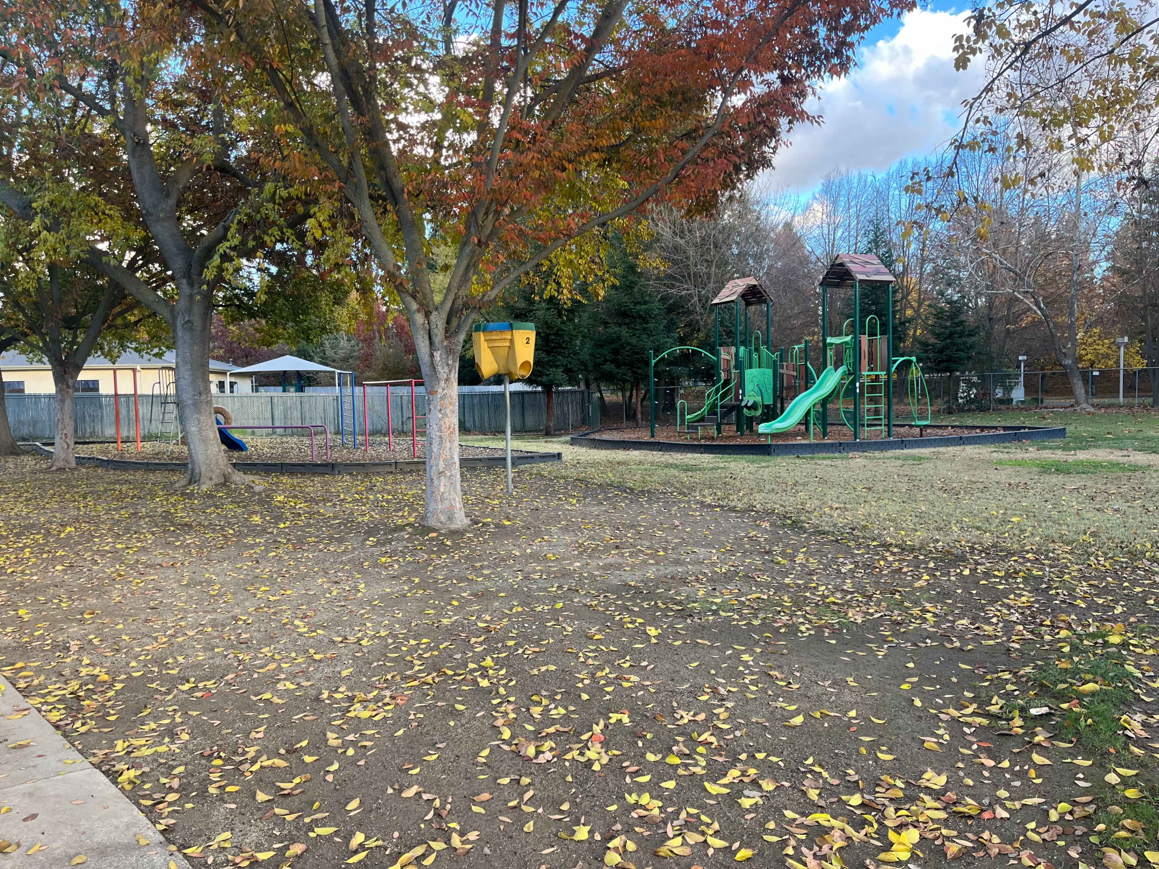A playground features green play structures and a swing set set in a park with trees shedding autumn leaves.