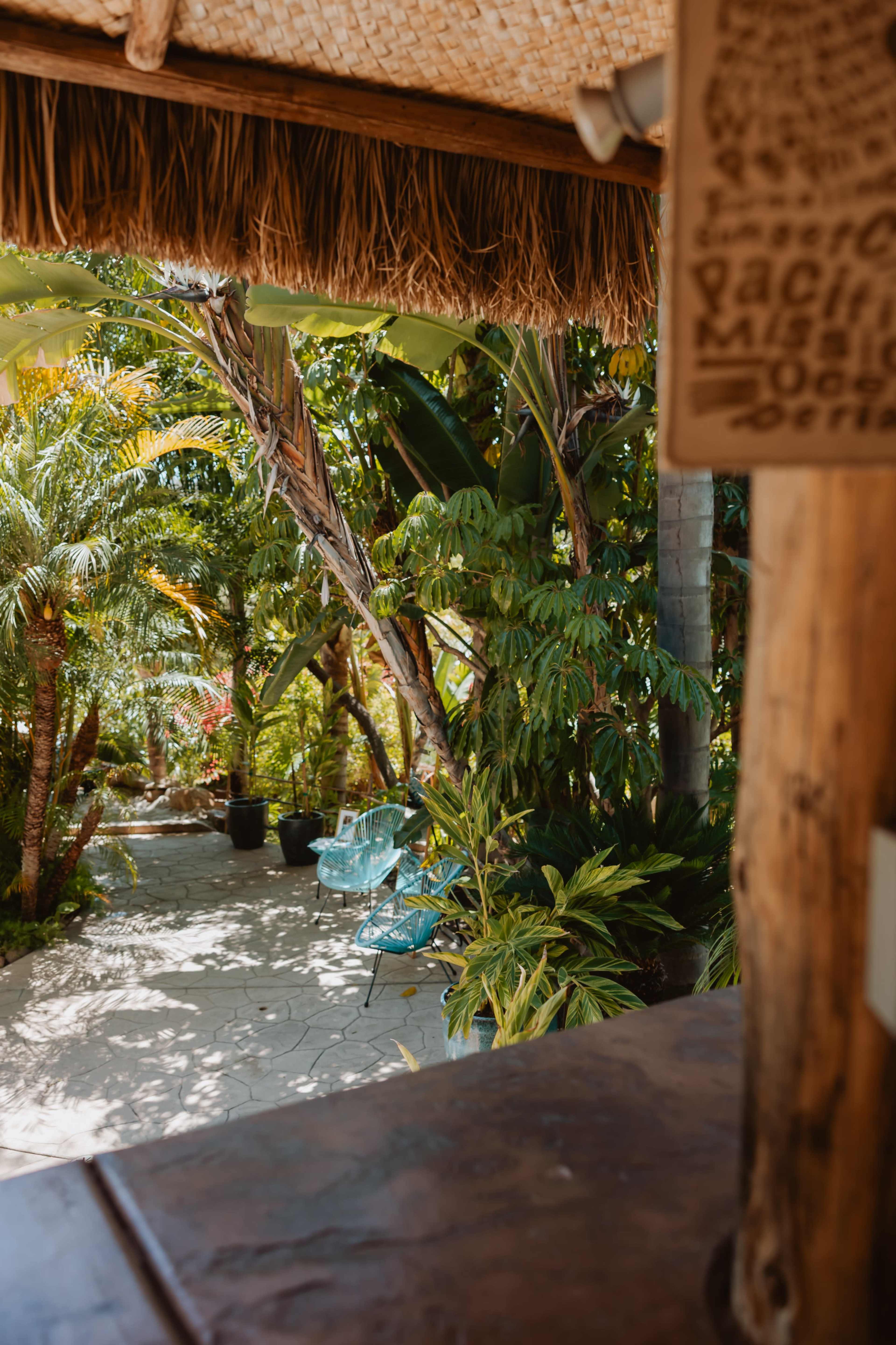 The image shows a tropical garden view with lush green plants and two blue chairs beside a stone walkway.