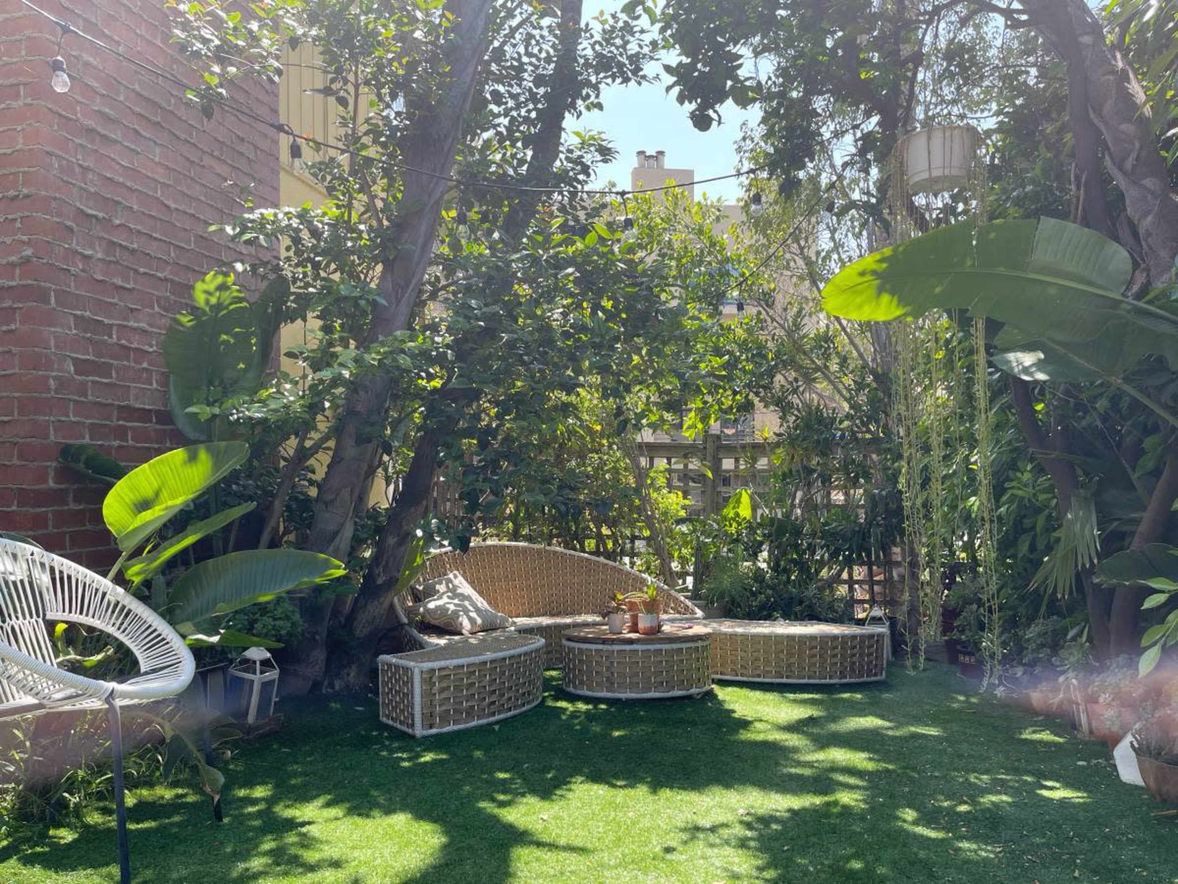 A sunny garden scene with wicker seating arrangements surrounded by lush greenery and decorative plants.