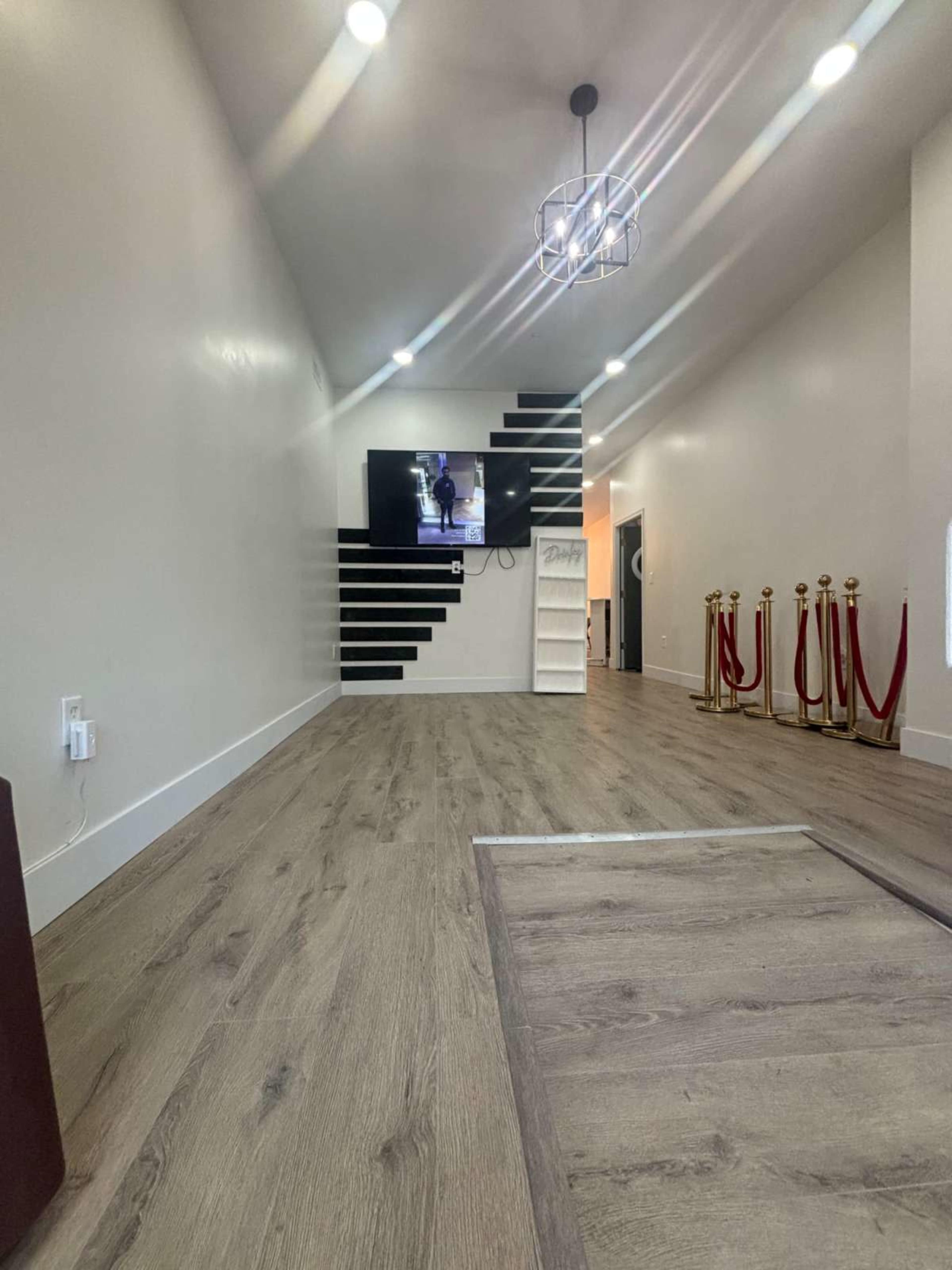 The image shows a spacious room with light-colored walls, a dark patterned feature wall, a television mounted on the wall, and red velvet ropes with stanchions on one side.