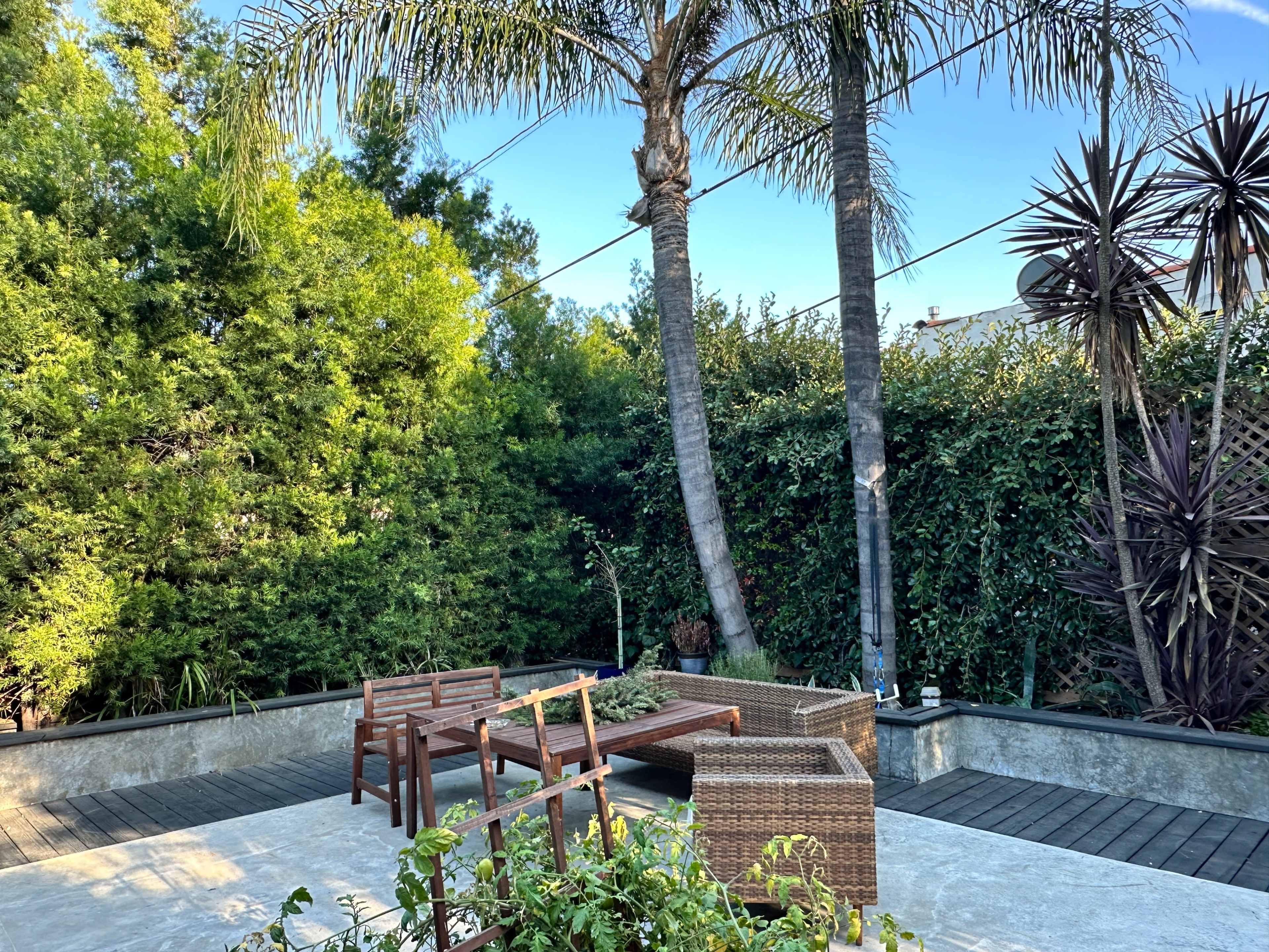 A serene outdoor space features a seating area with wooden chairs and a sectional sofa, surrounded by tall palm trees and lush greenery.