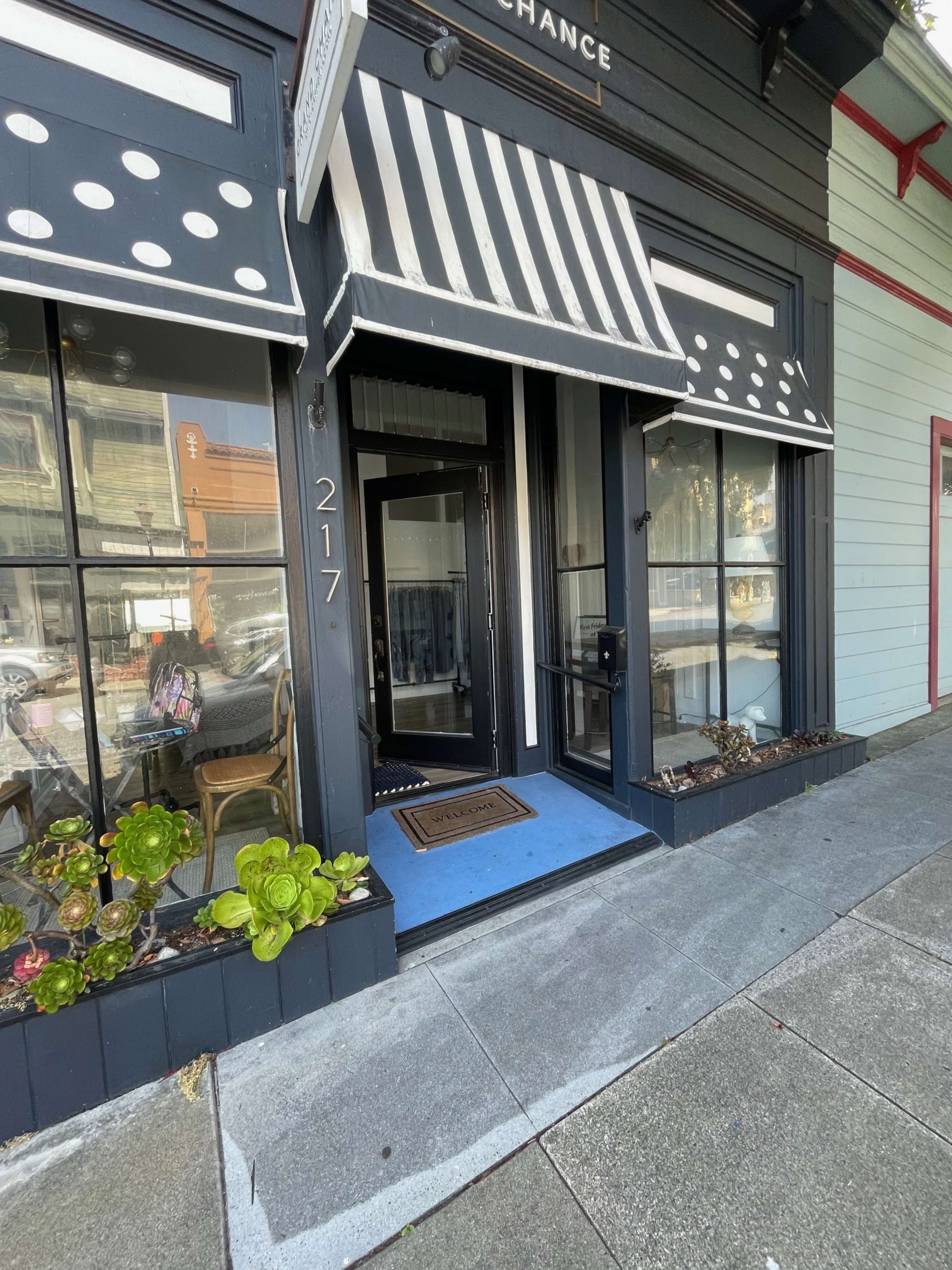The entrance of a storefront features black and white striped awnings, blue flooring, and potted plants, with the address "217" displayed prominently.