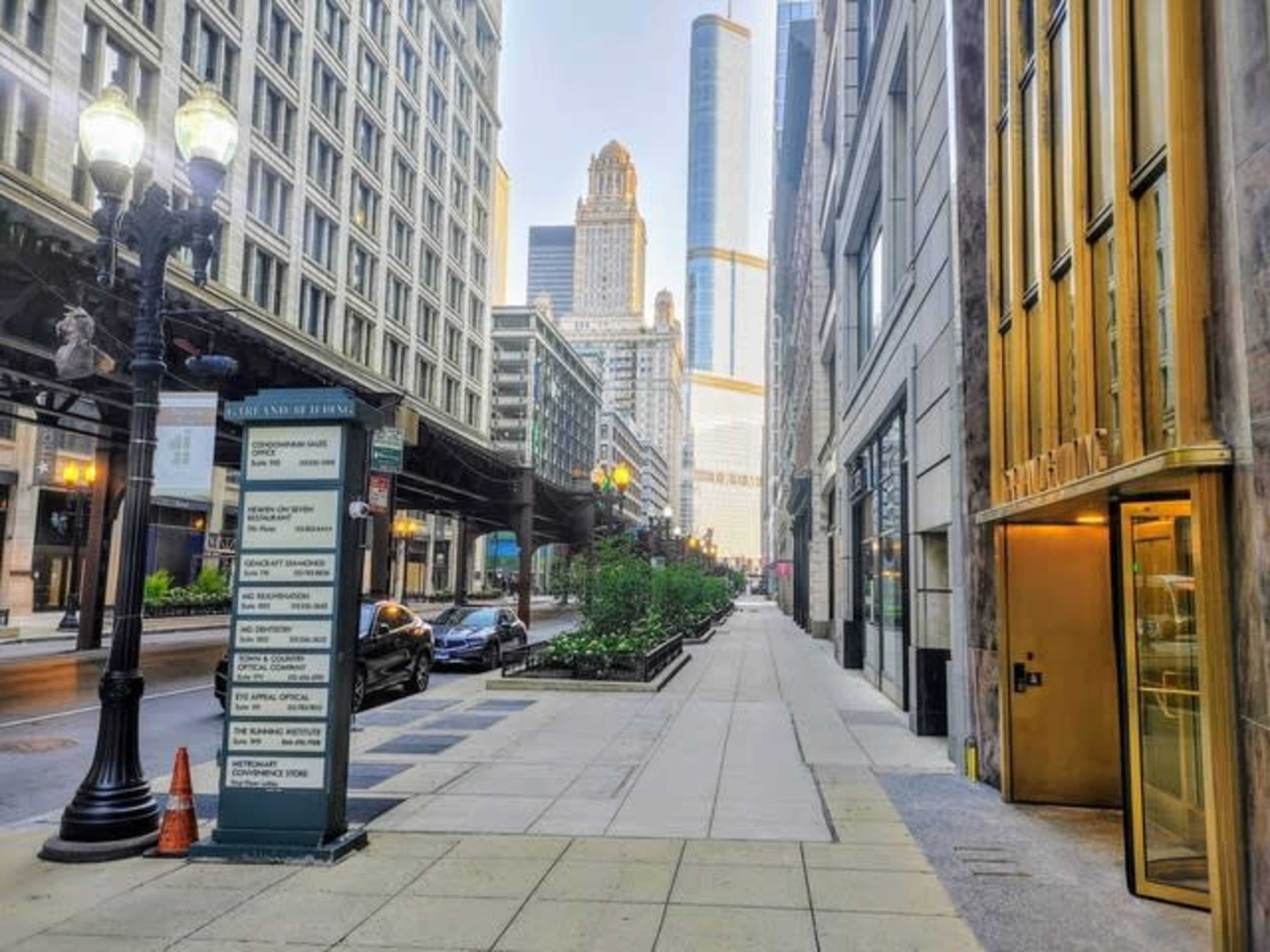 The image shows a city street lined with tall buildings, featuring a lamppost and a directory sign on the left, with a row of plants along the sidewalk.